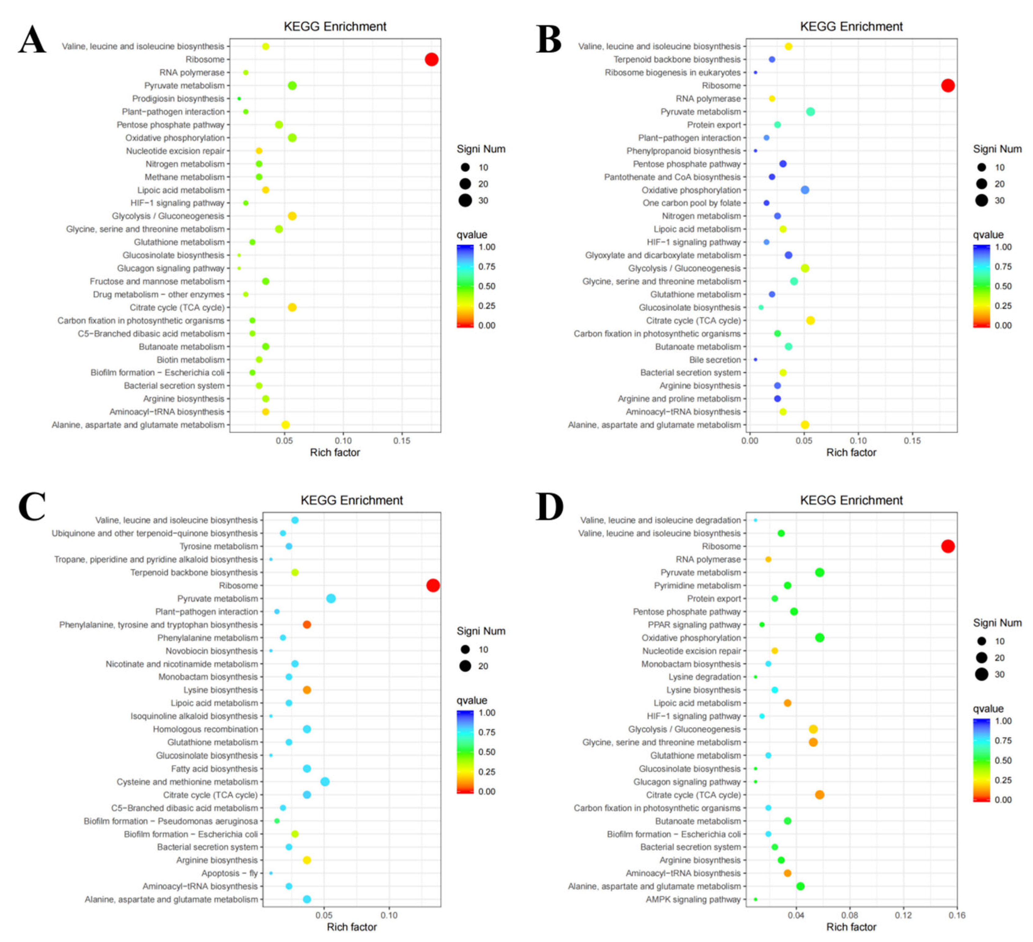 Microorganisms 13 01173 g005