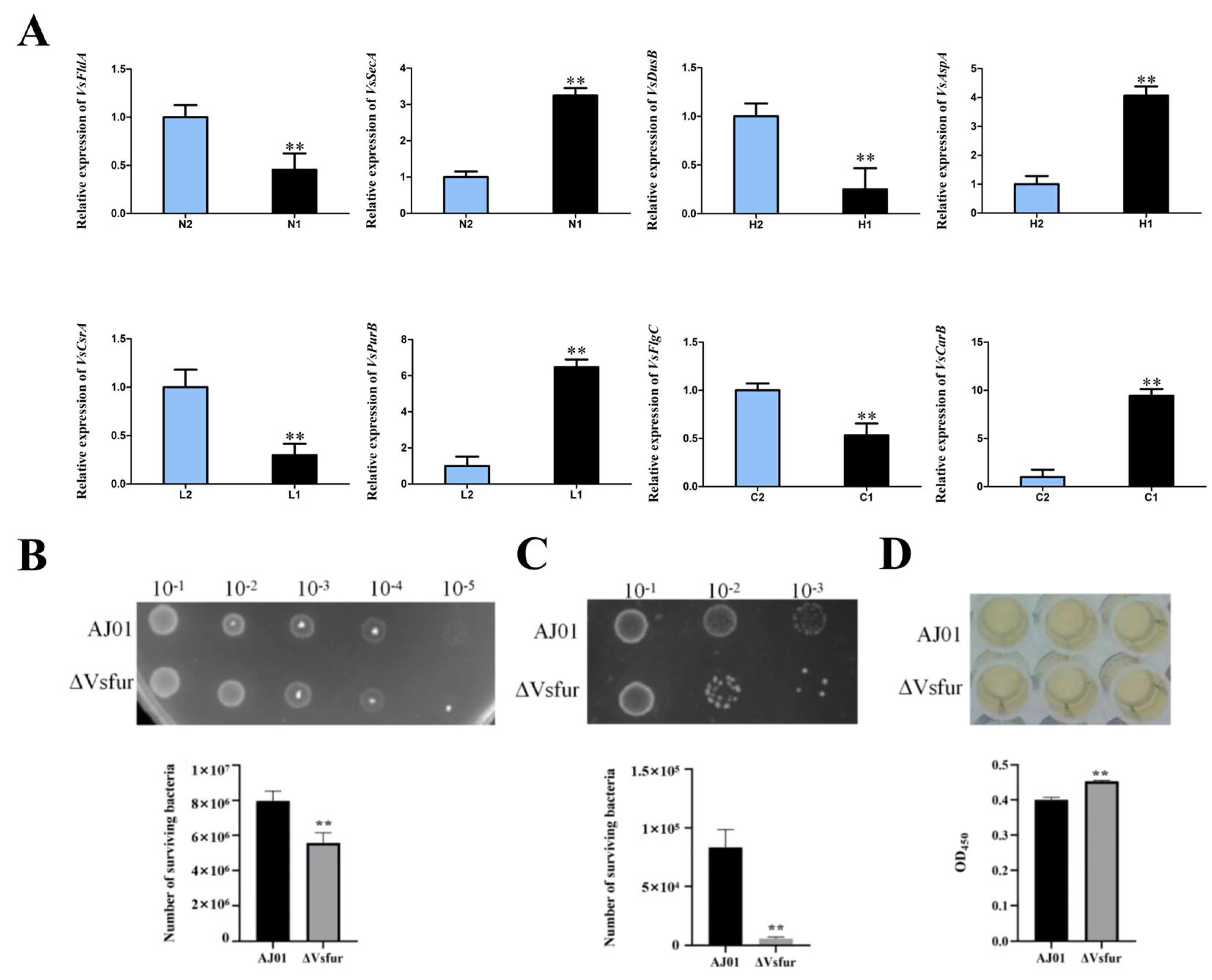 Microorganisms 13 01173 g007