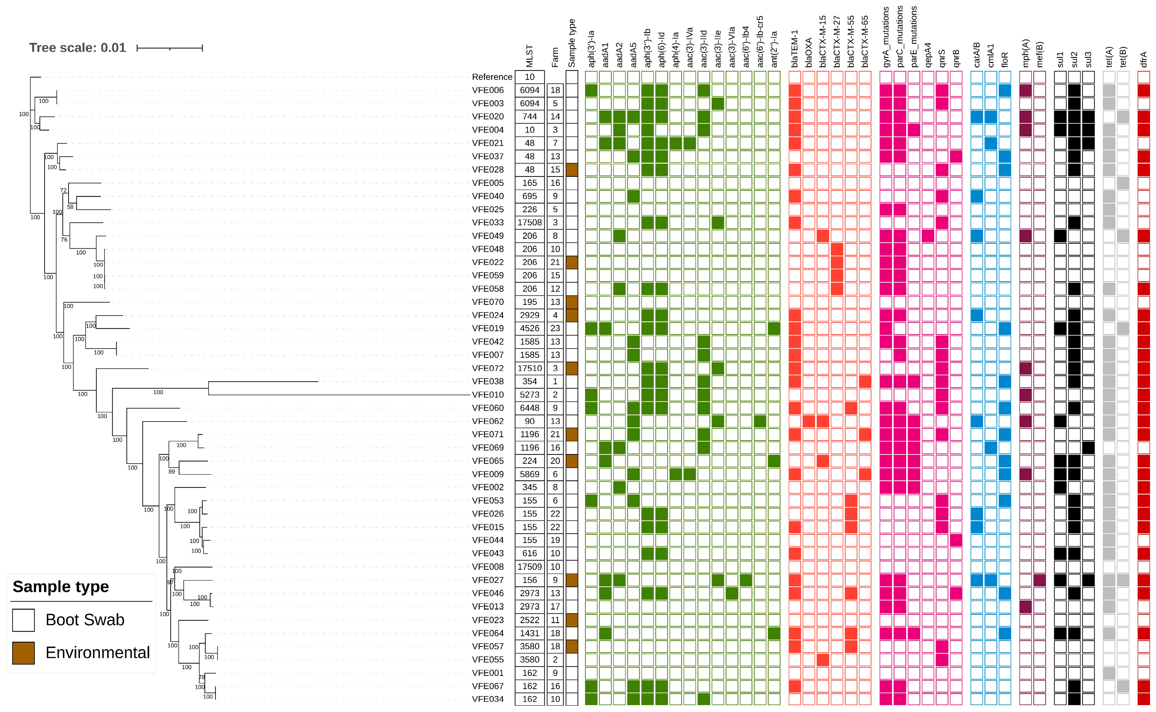 Microorganisms 13 01174 g001