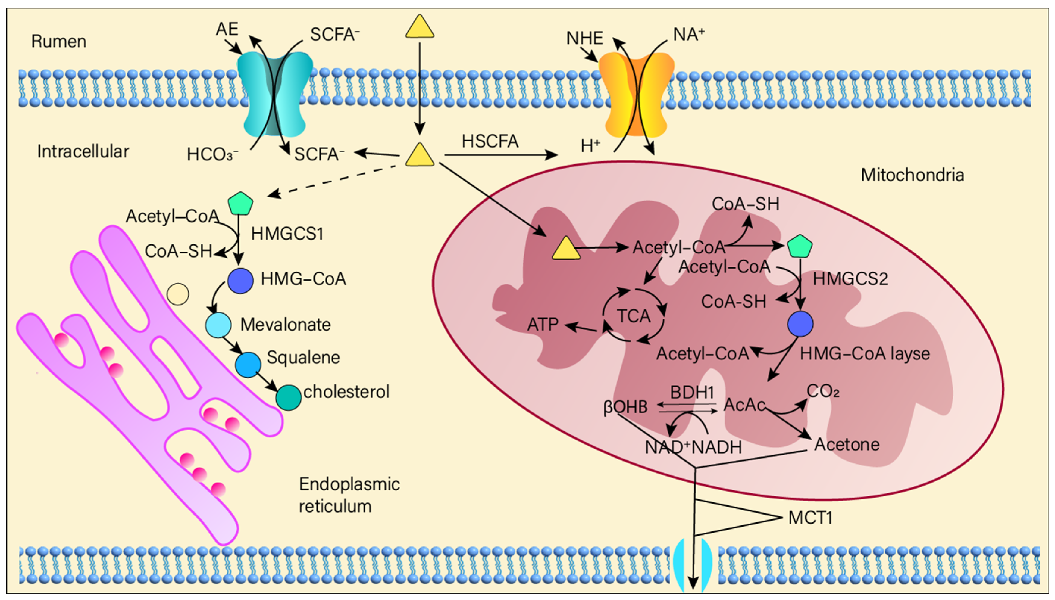 Microorganisms 13 01175 g003