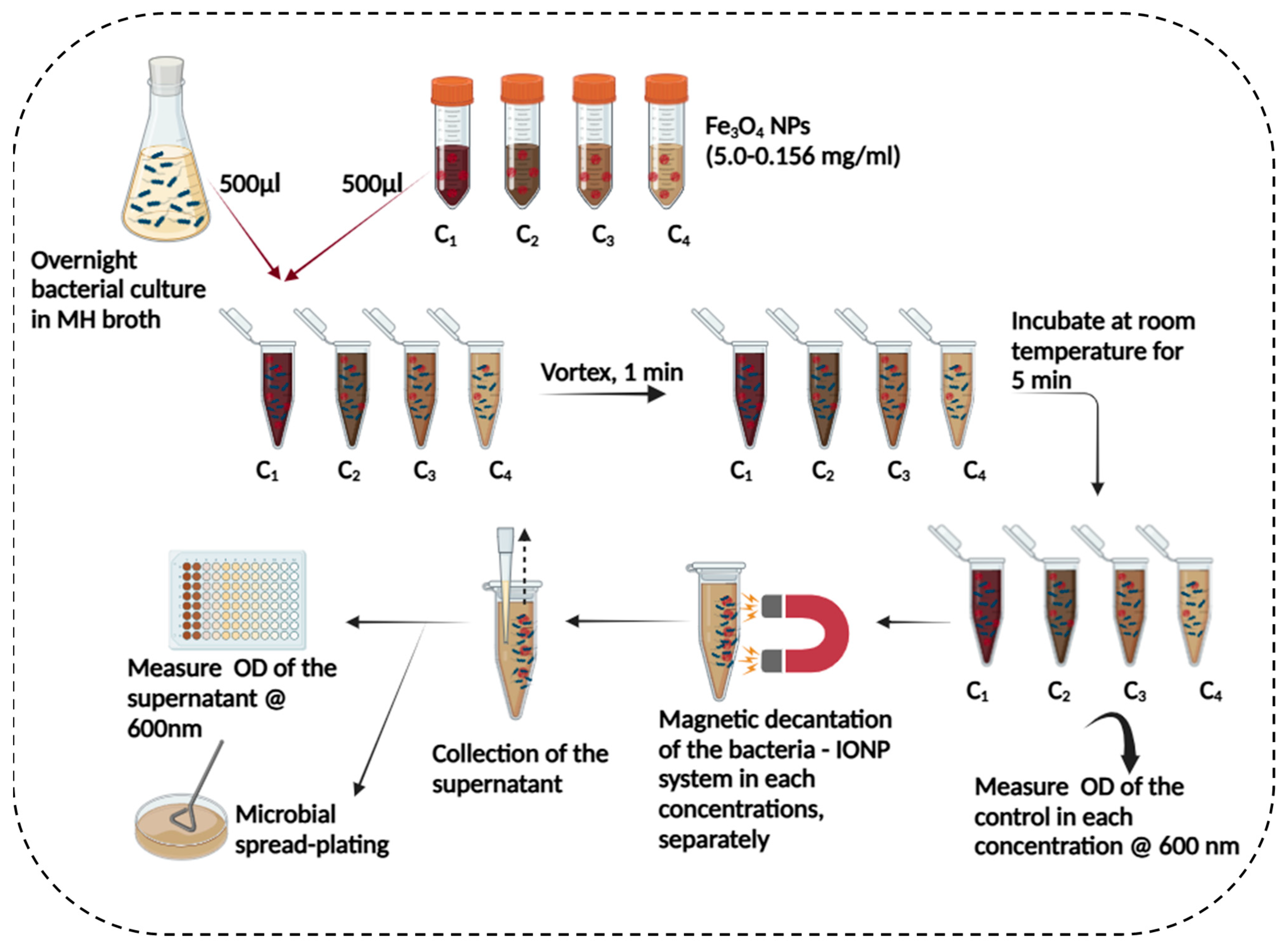 Microorganisms 13 01176 g001
