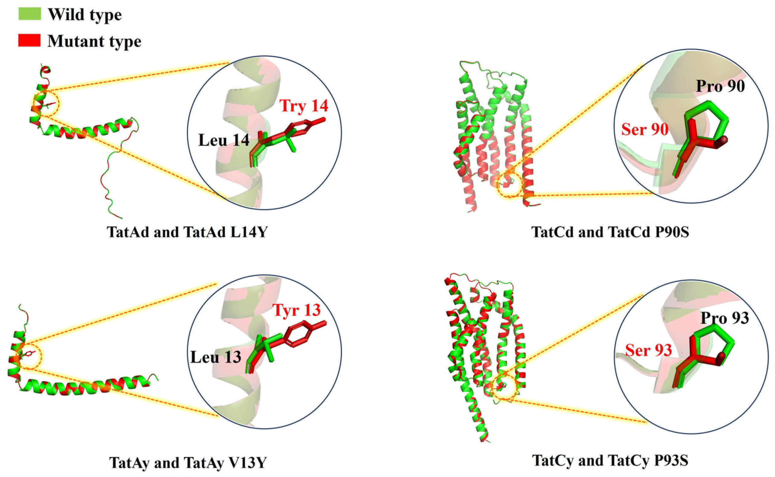 Microorganisms 13 01179 g002