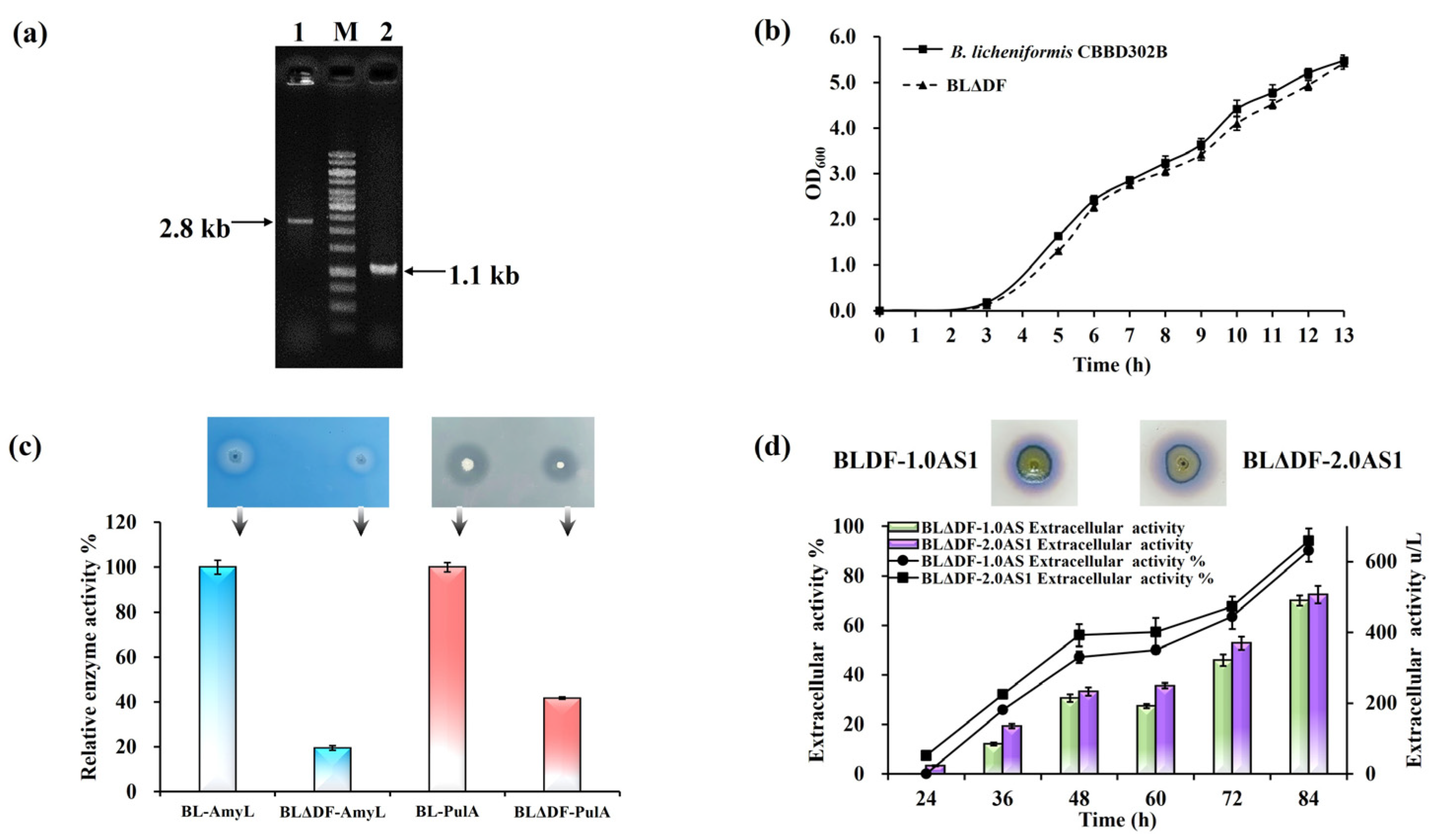 Microorganisms 13 01179 g004