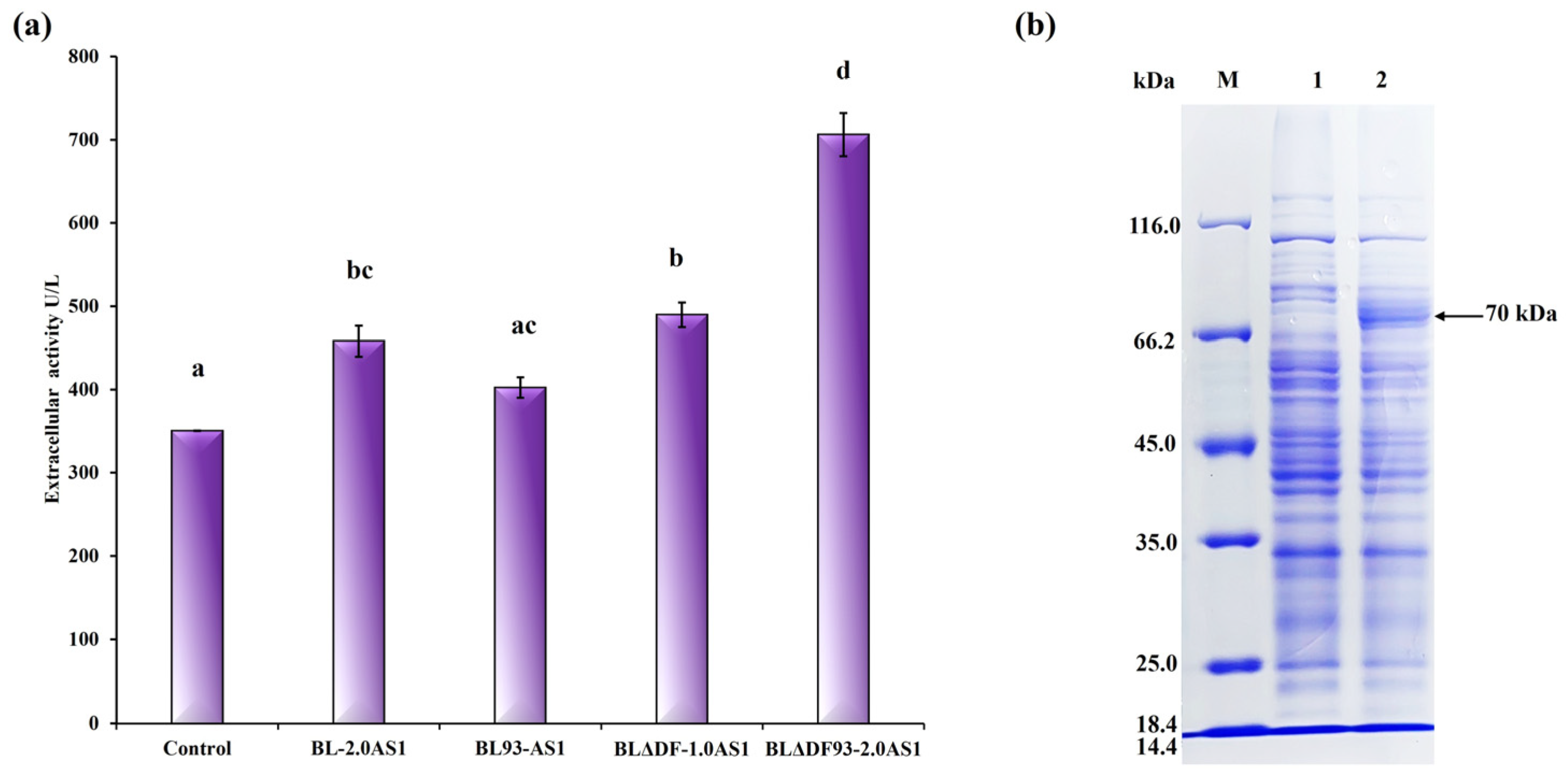 Microorganisms 13 01179 g006