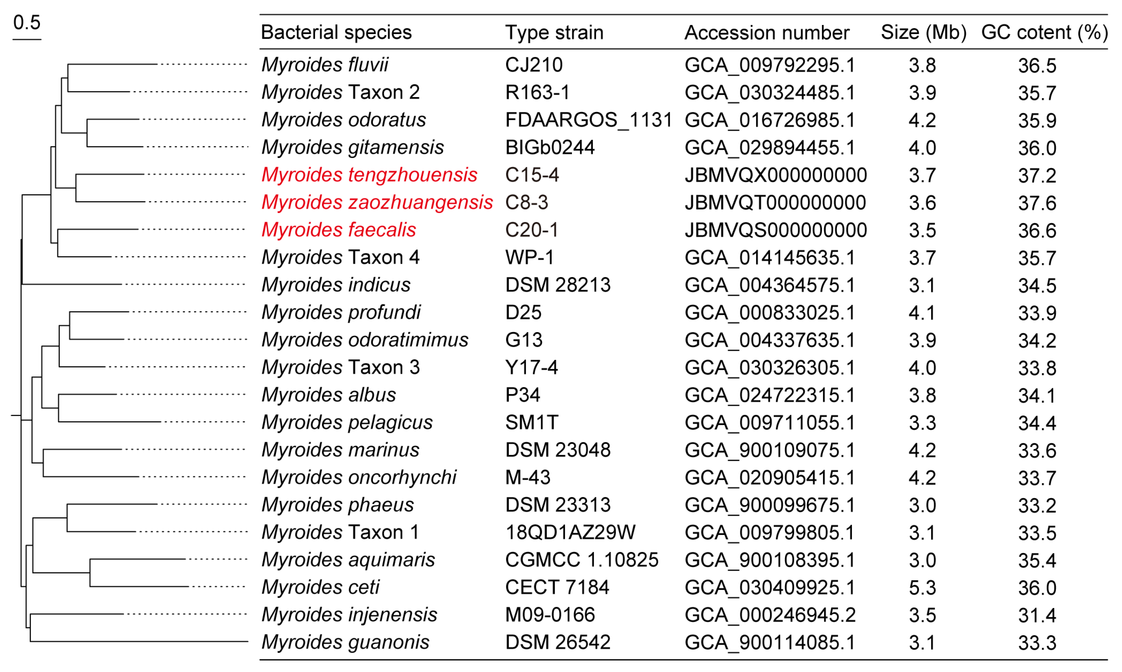 Microorganisms 13 01180 g001