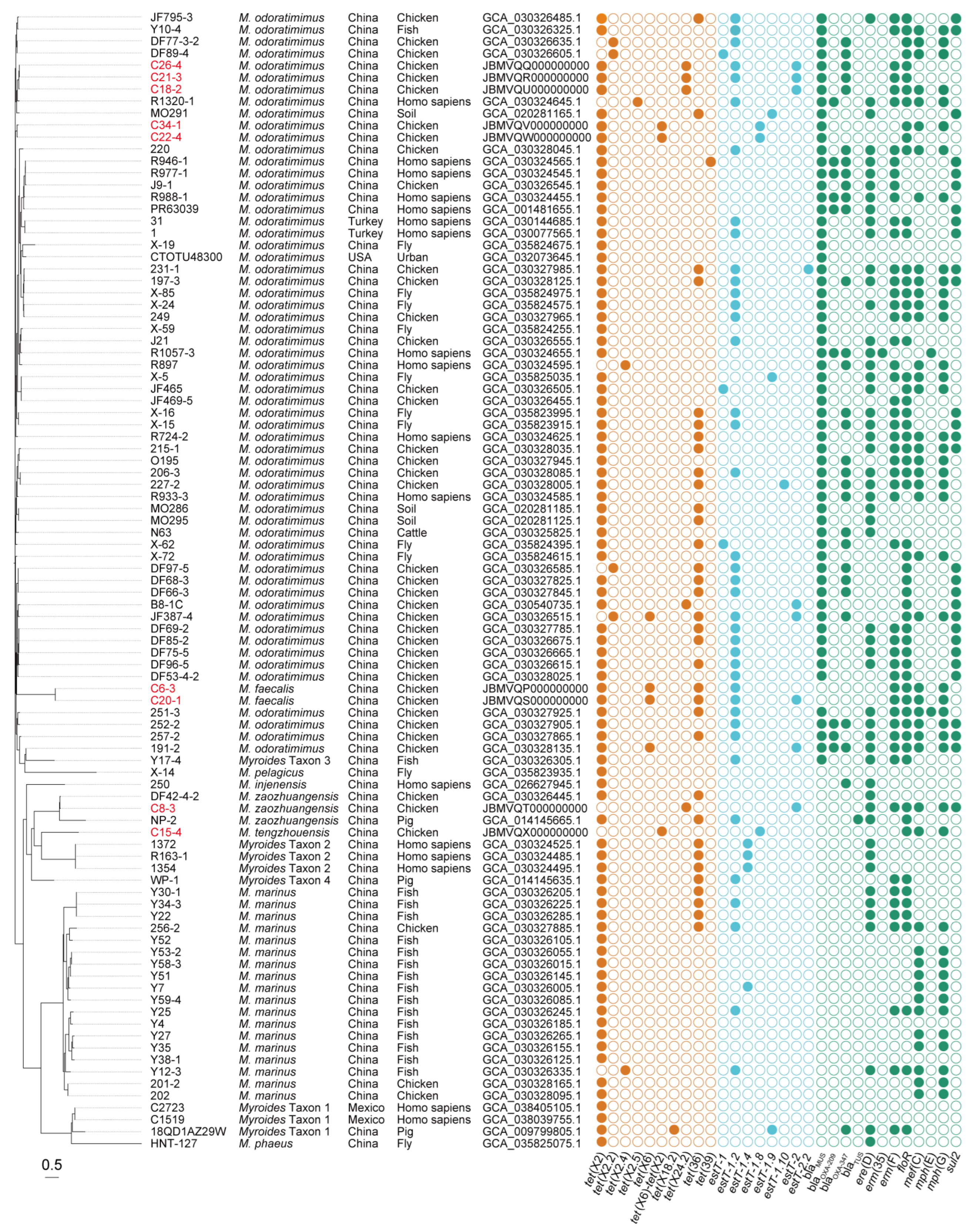Microorganisms 13 01180 g002