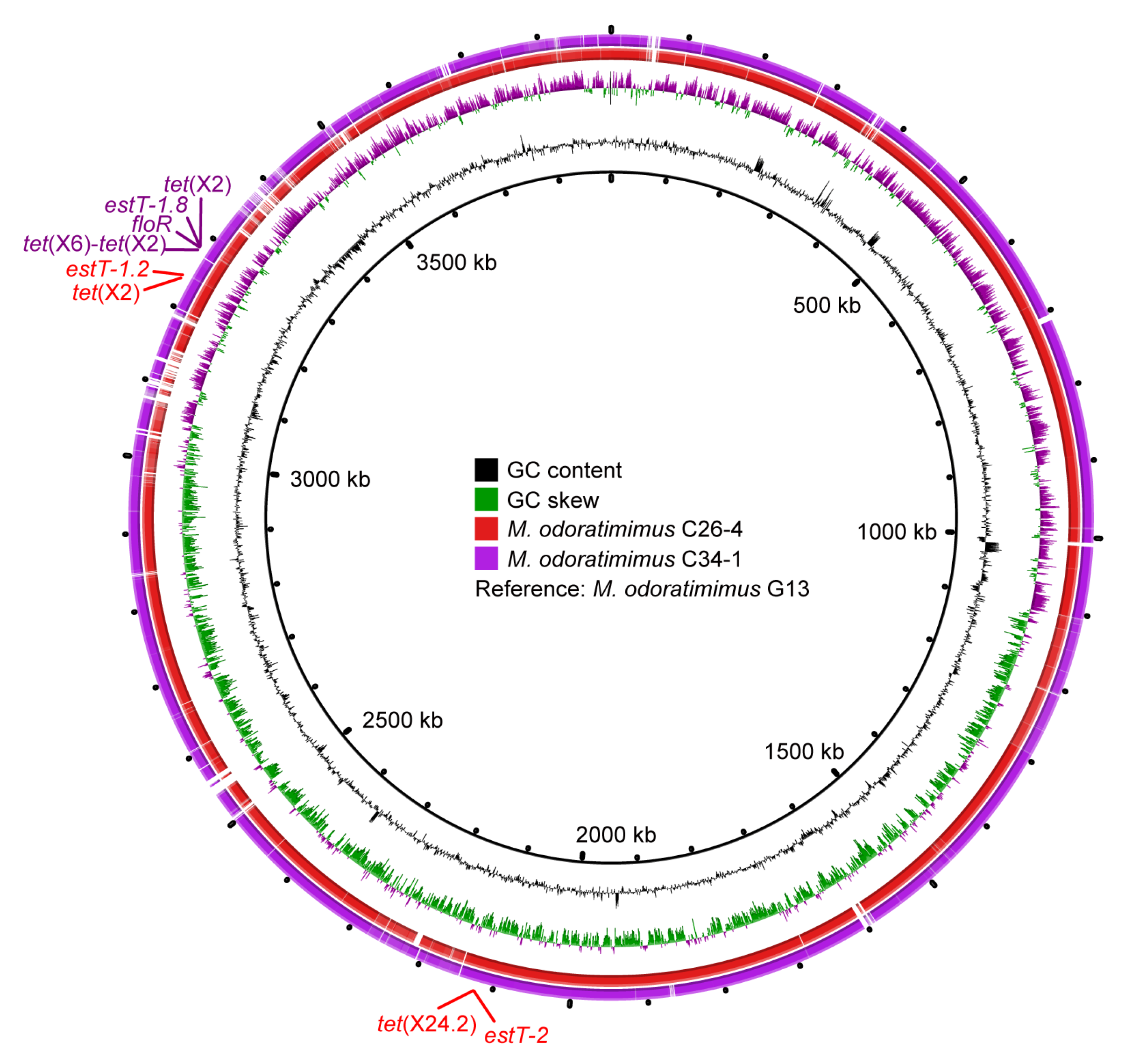Microorganisms 13 01180 g003