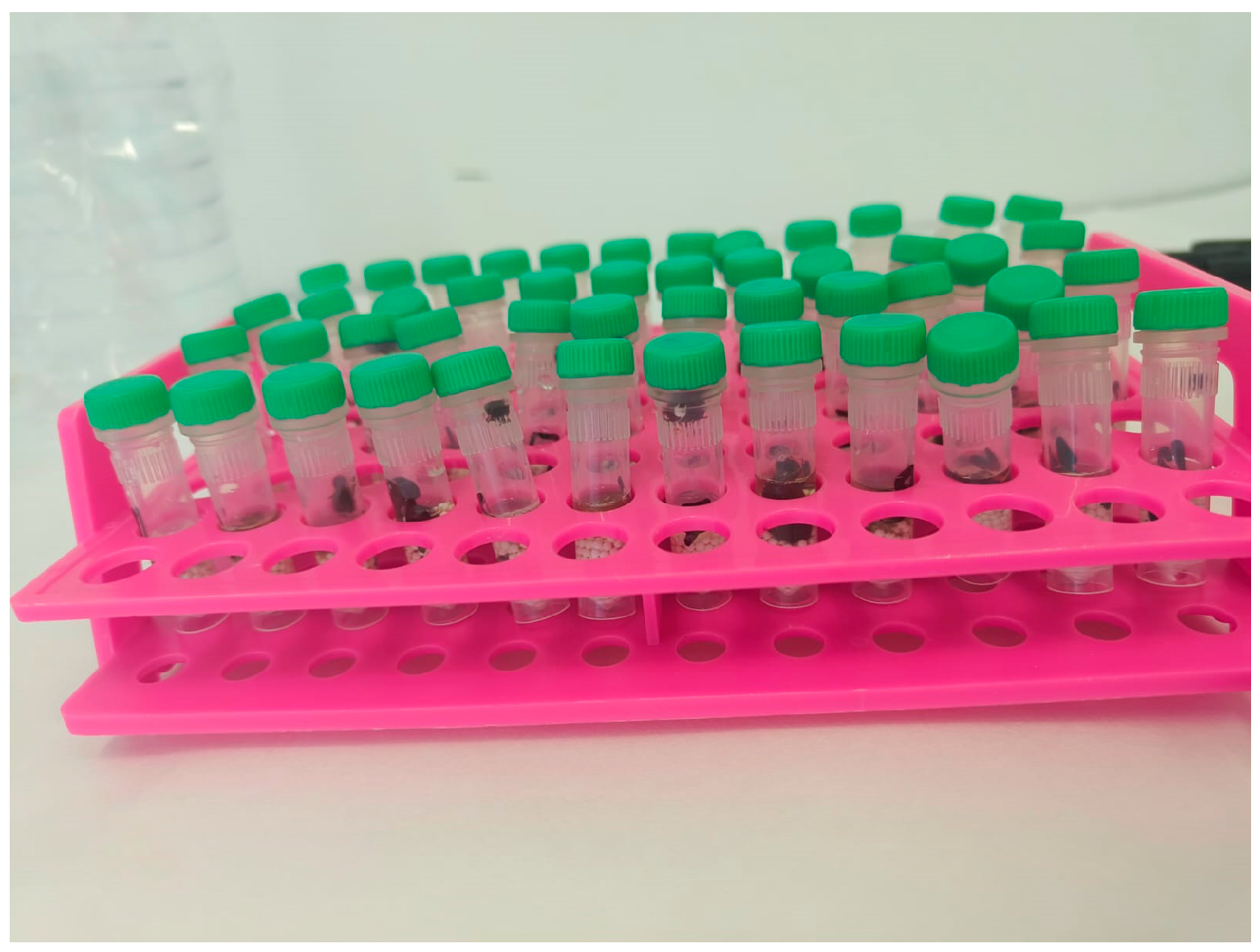 Microorganisms 13 01182 g002