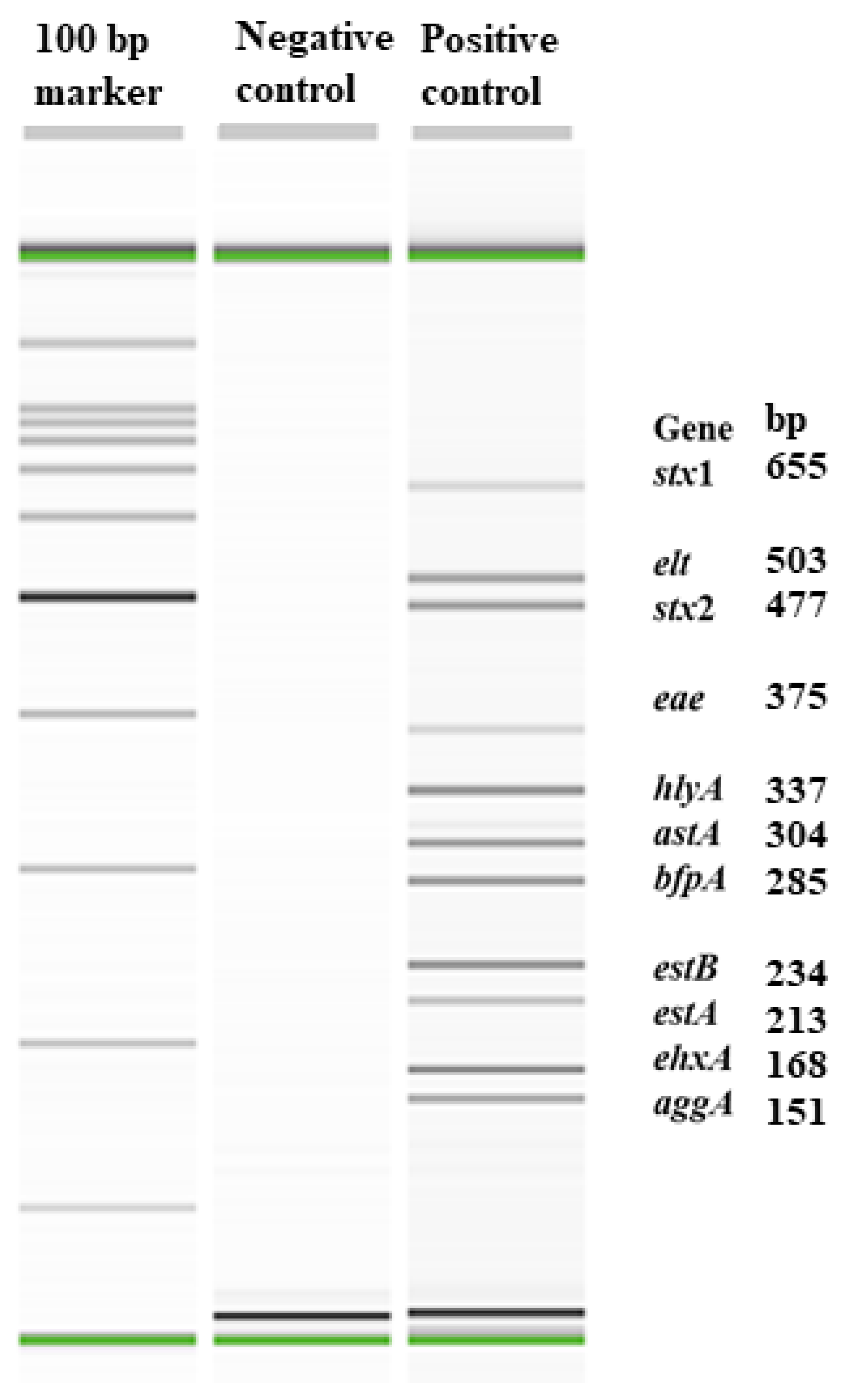 Microorganisms 13 01185 g001 Microorganisms 13 01185 g001
