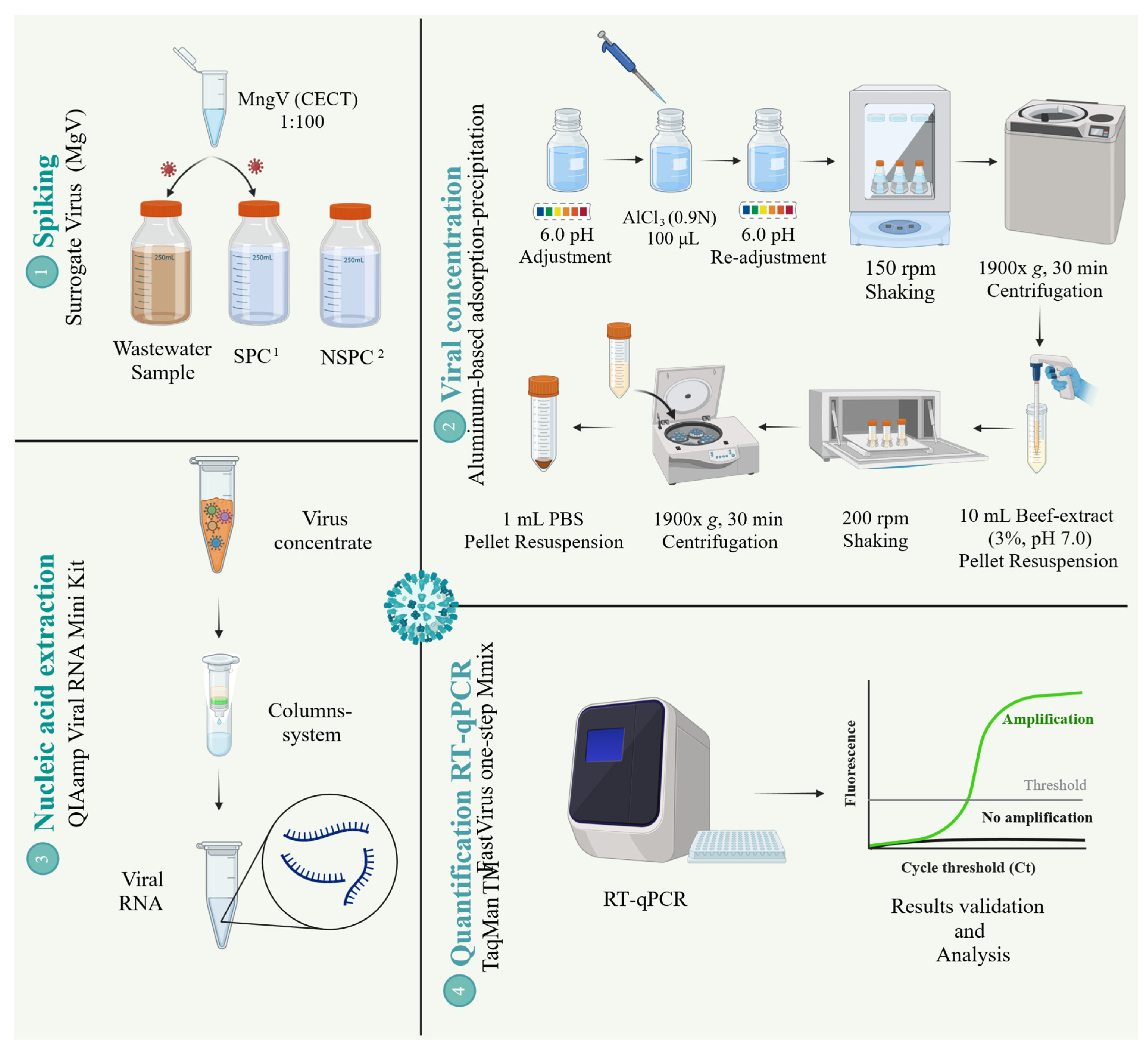 Microorganisms 13 01186 g001