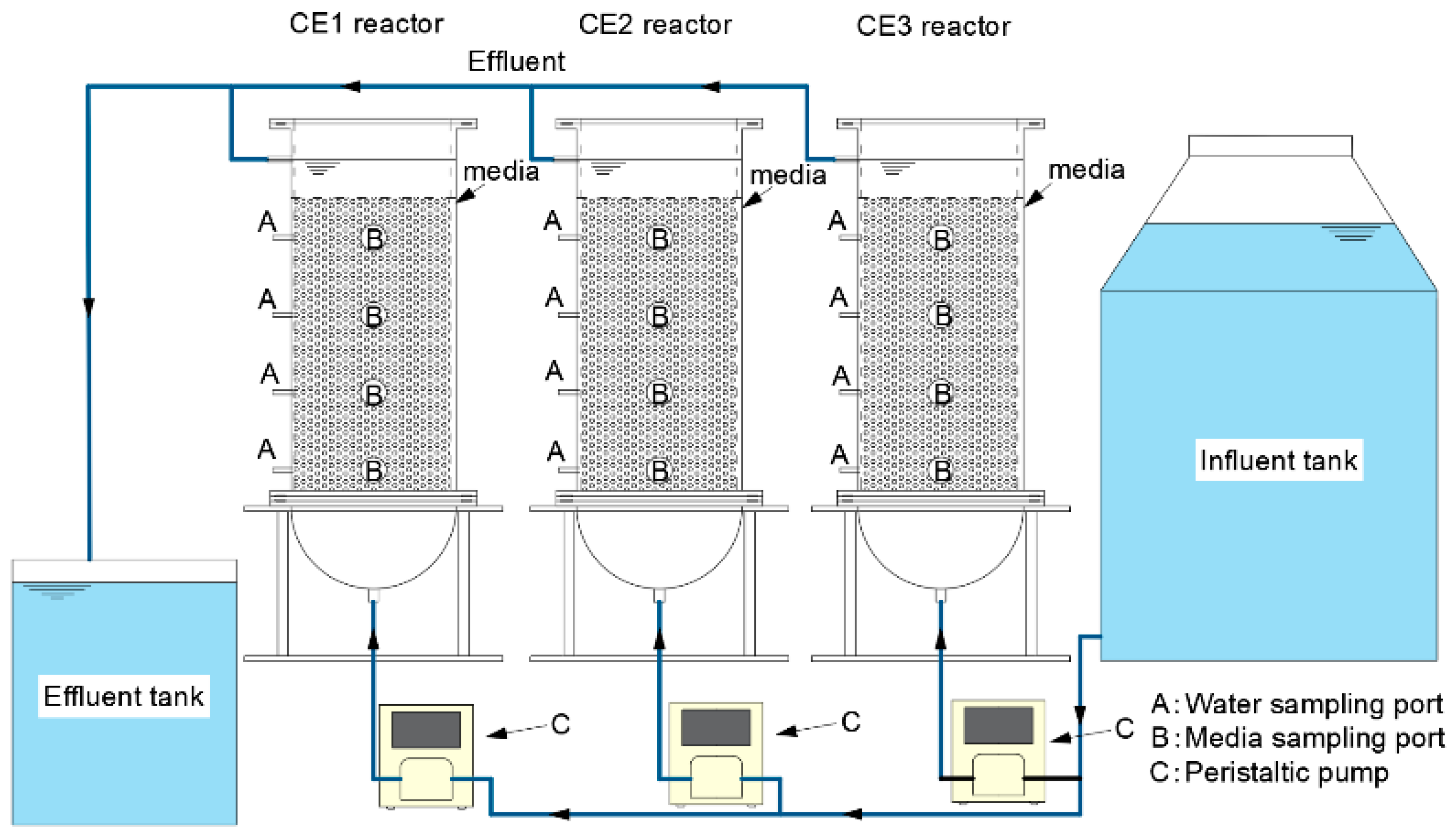 Microorganisms 13 01187 g001