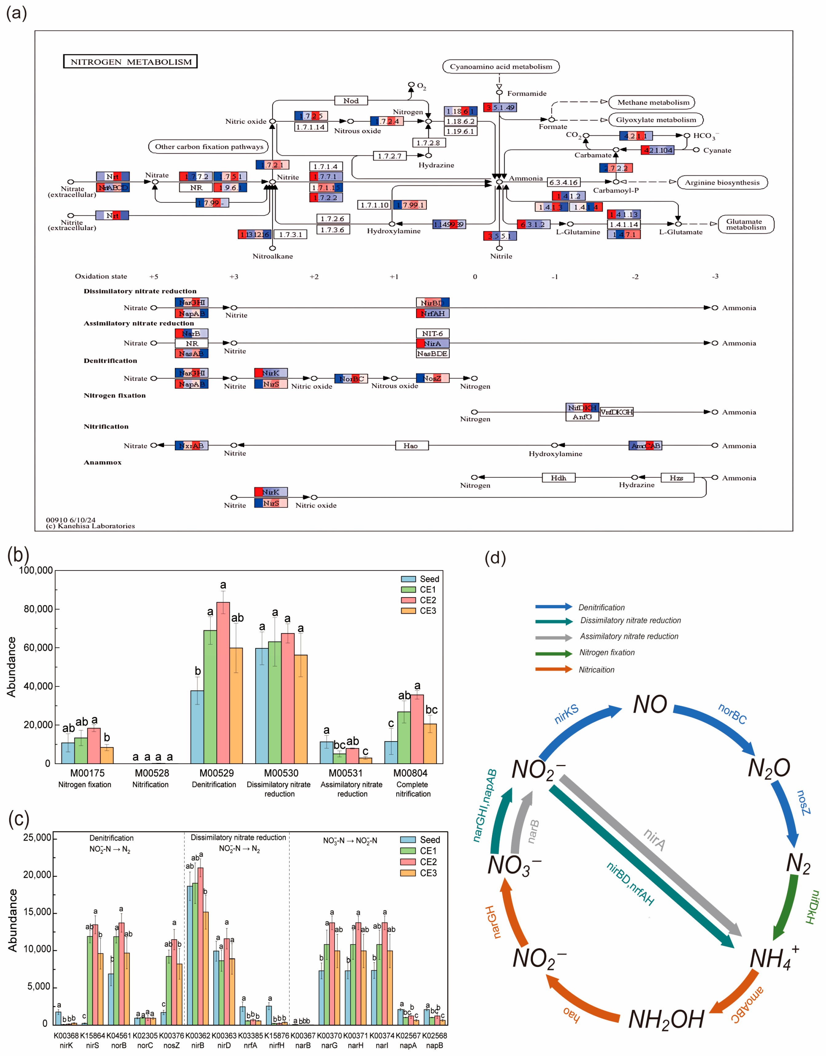 Microorganisms 13 01187 g008