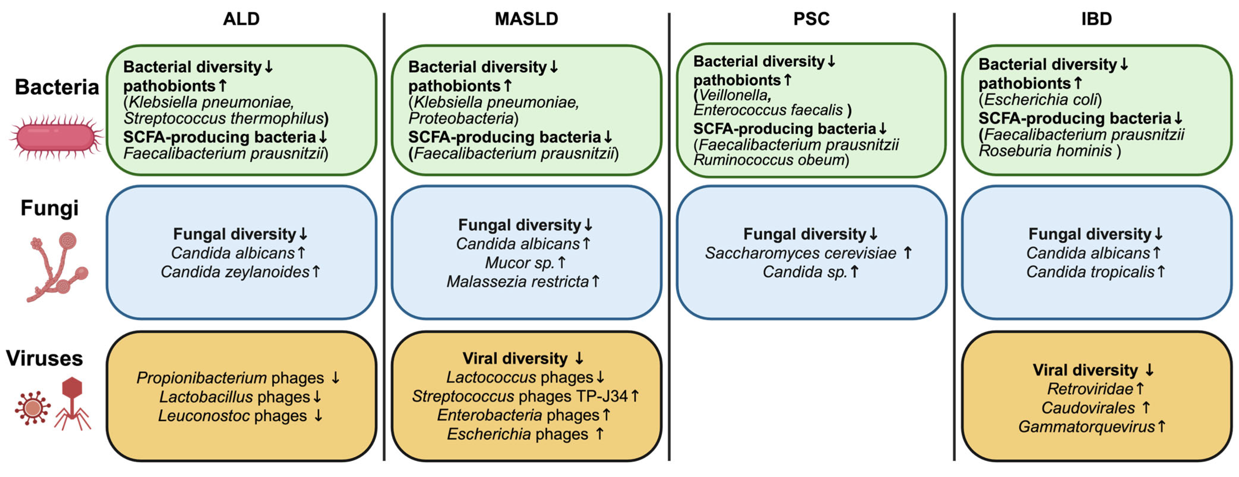 Microorganisms 13 01188 g001