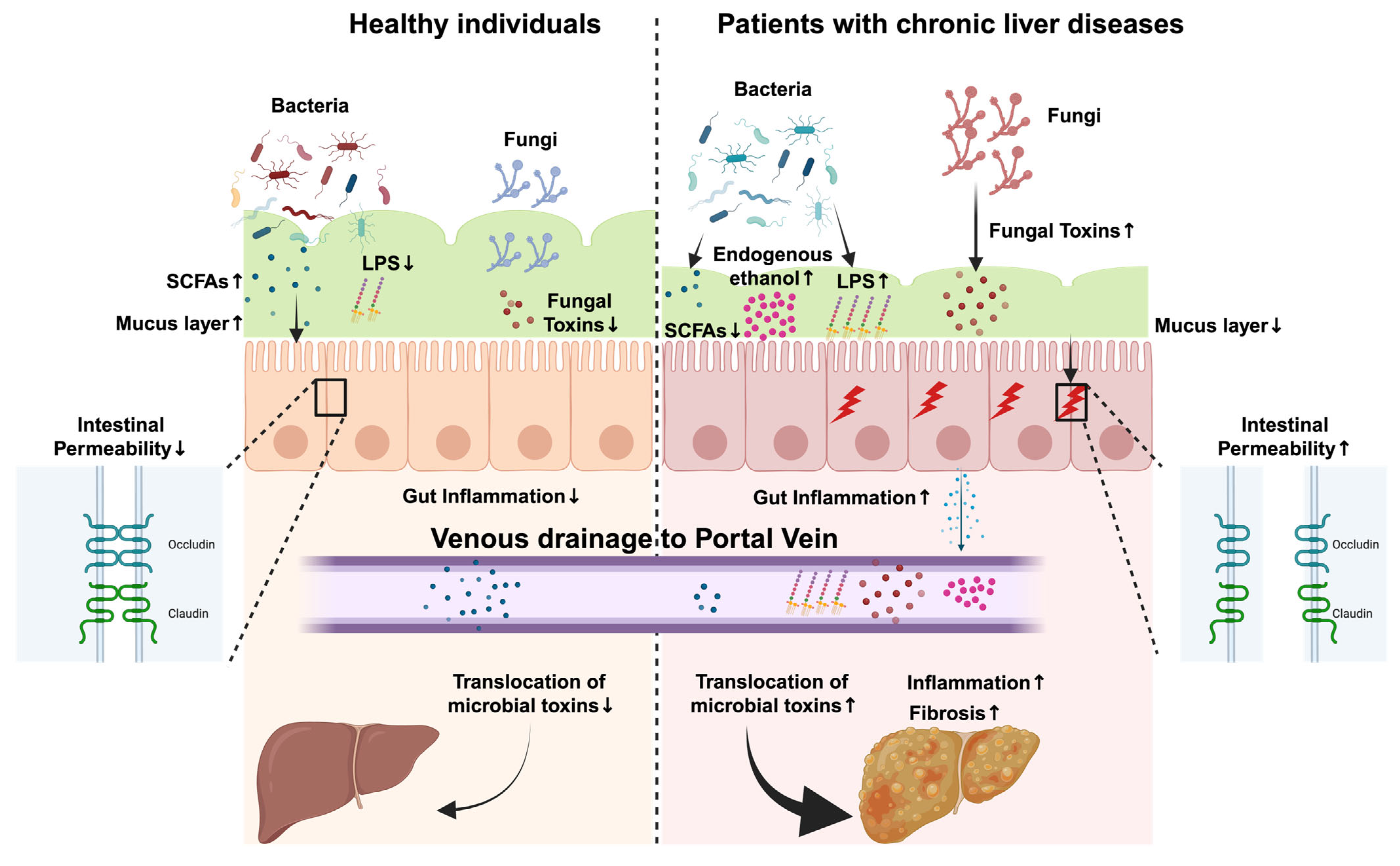 Microorganisms 13 01188 g002