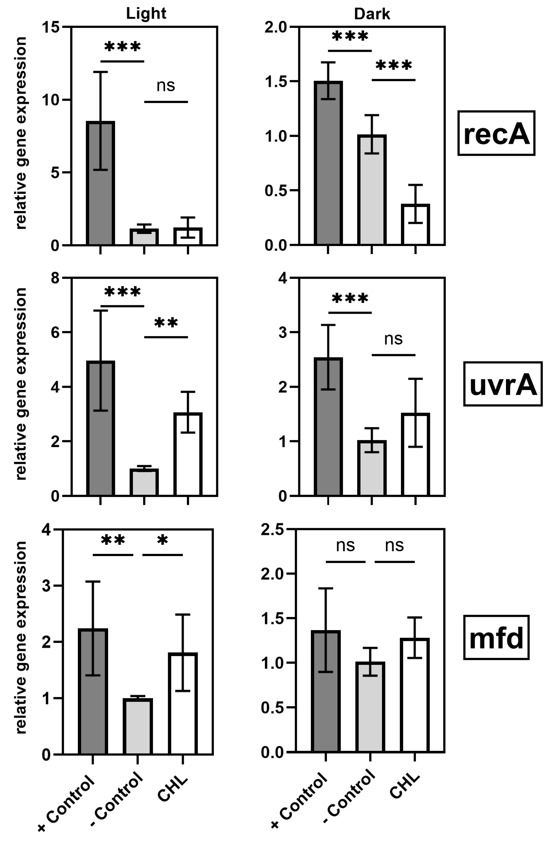 Microorganisms 13 01189 g009