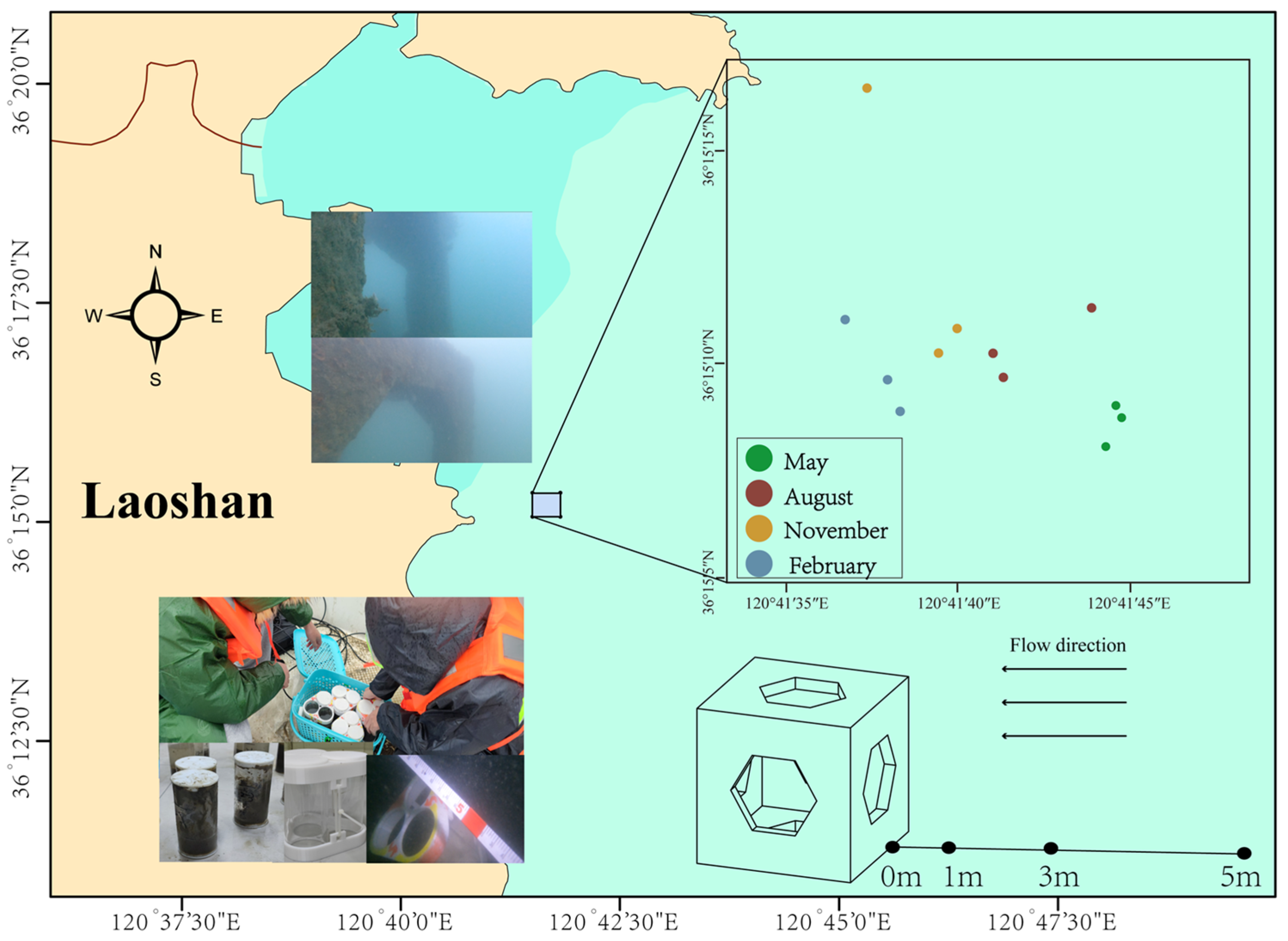 Microorganisms 13 01194 g001