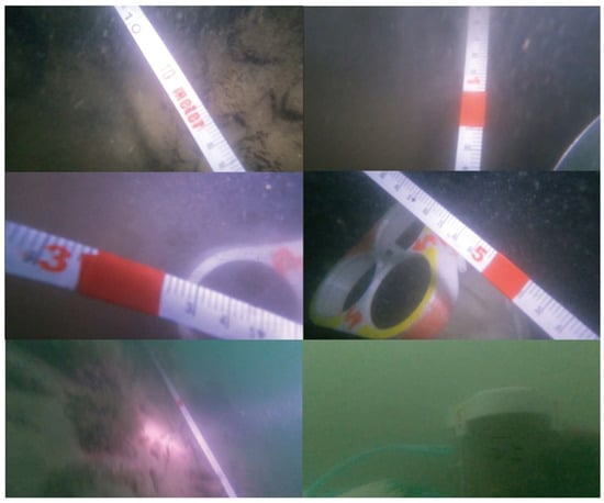 Microorganisms 13 01194 g0a1