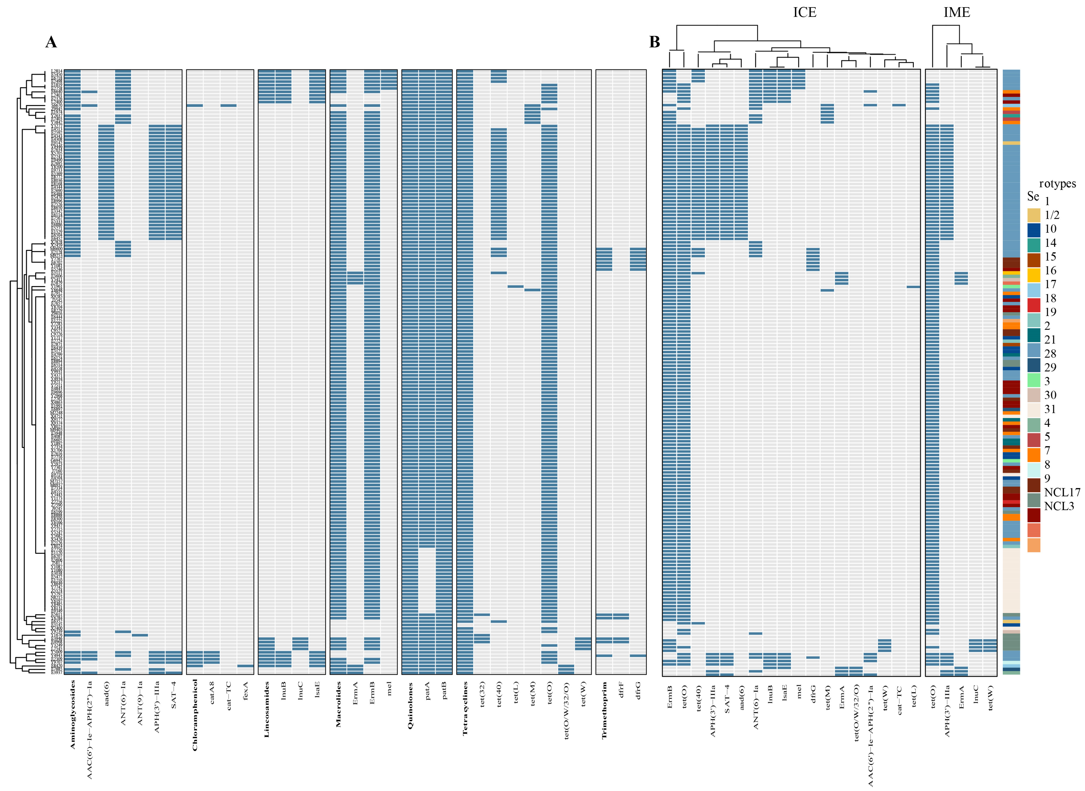 Microorganisms 13 01197 g006