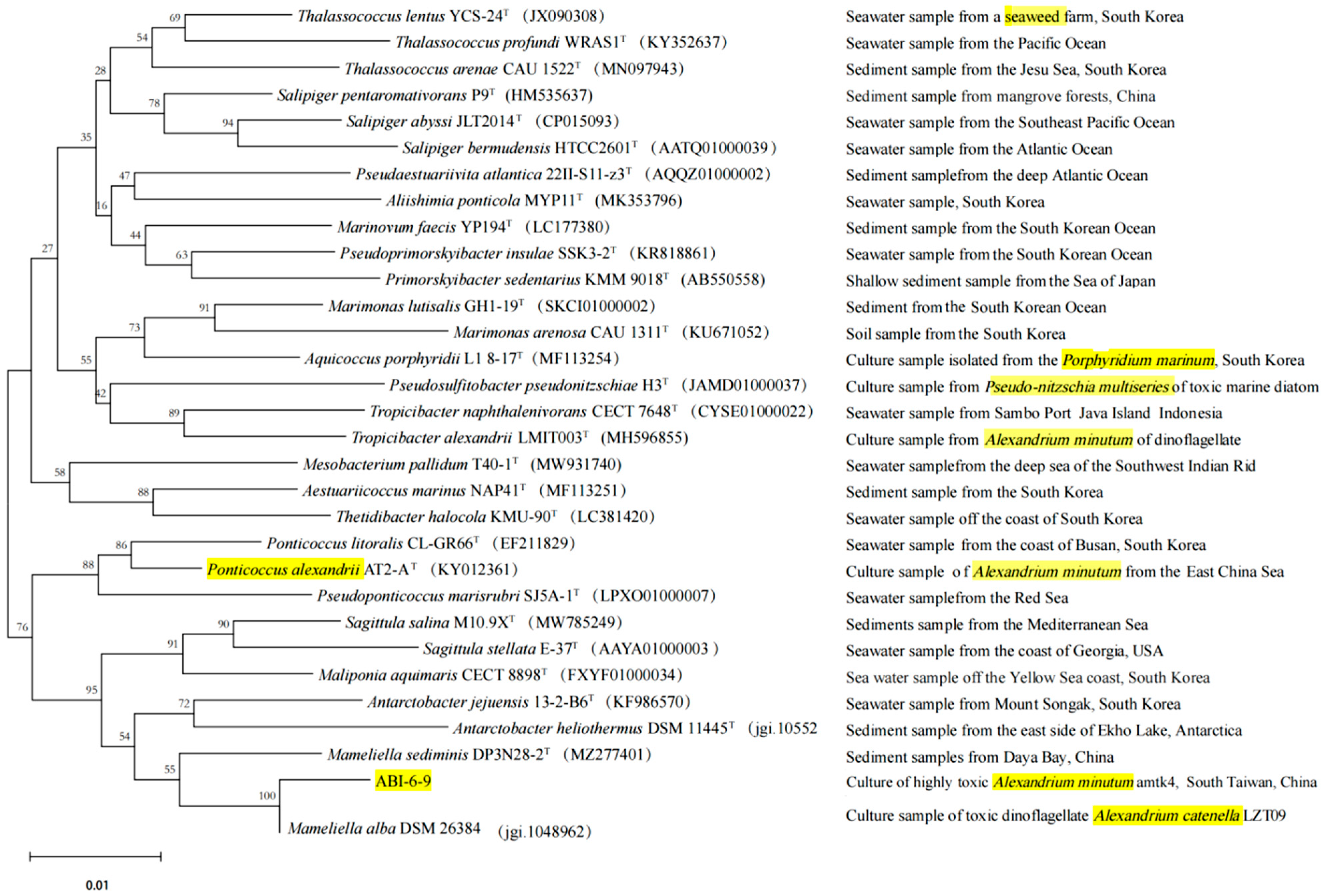 Microorganisms 13 01198 g001