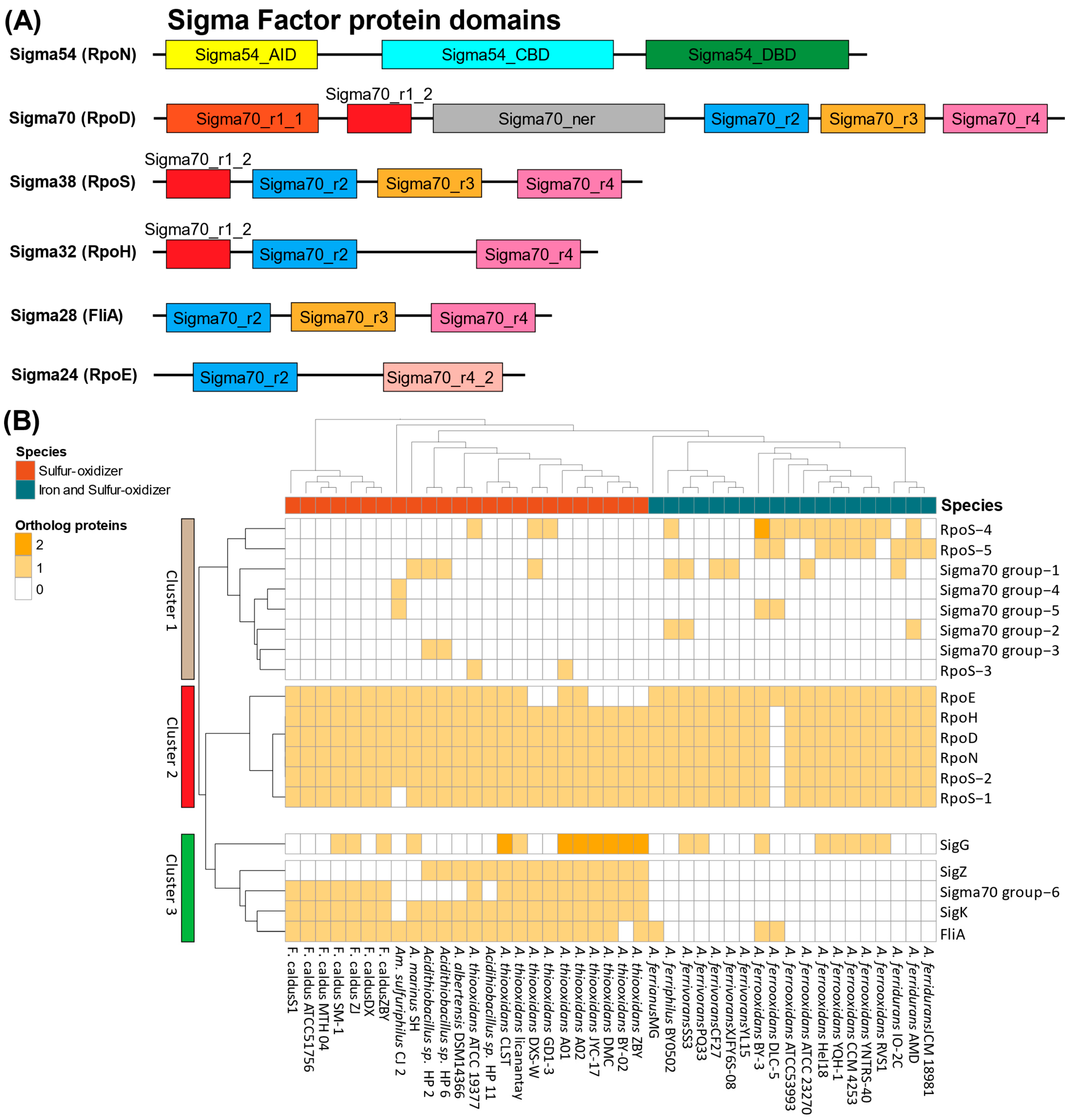 Microorganisms 13 01199 g001 Microorganisms 13 01199 g001