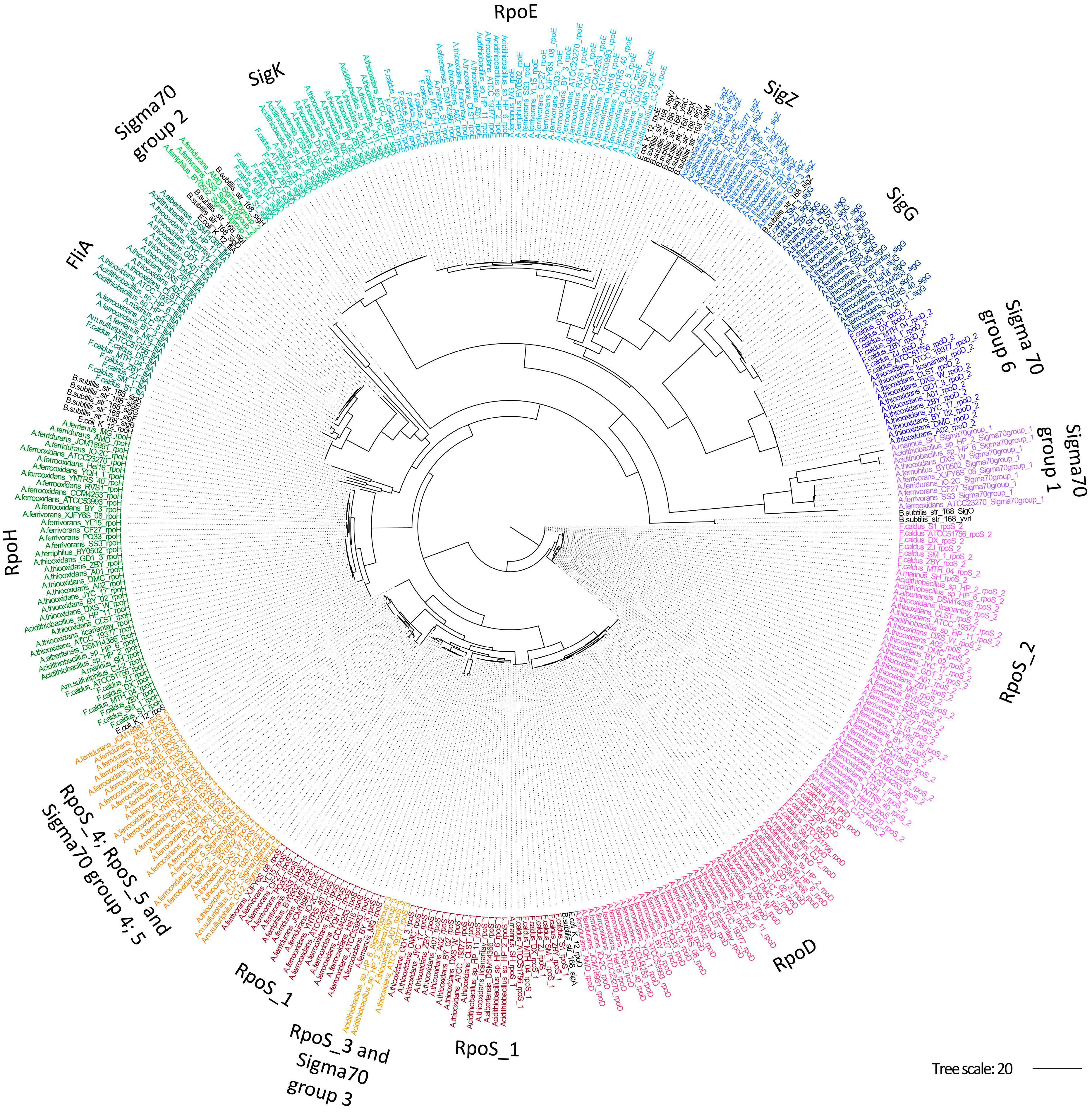 Microorganisms 13 01199 g002 Microorganisms 13 01199 g002