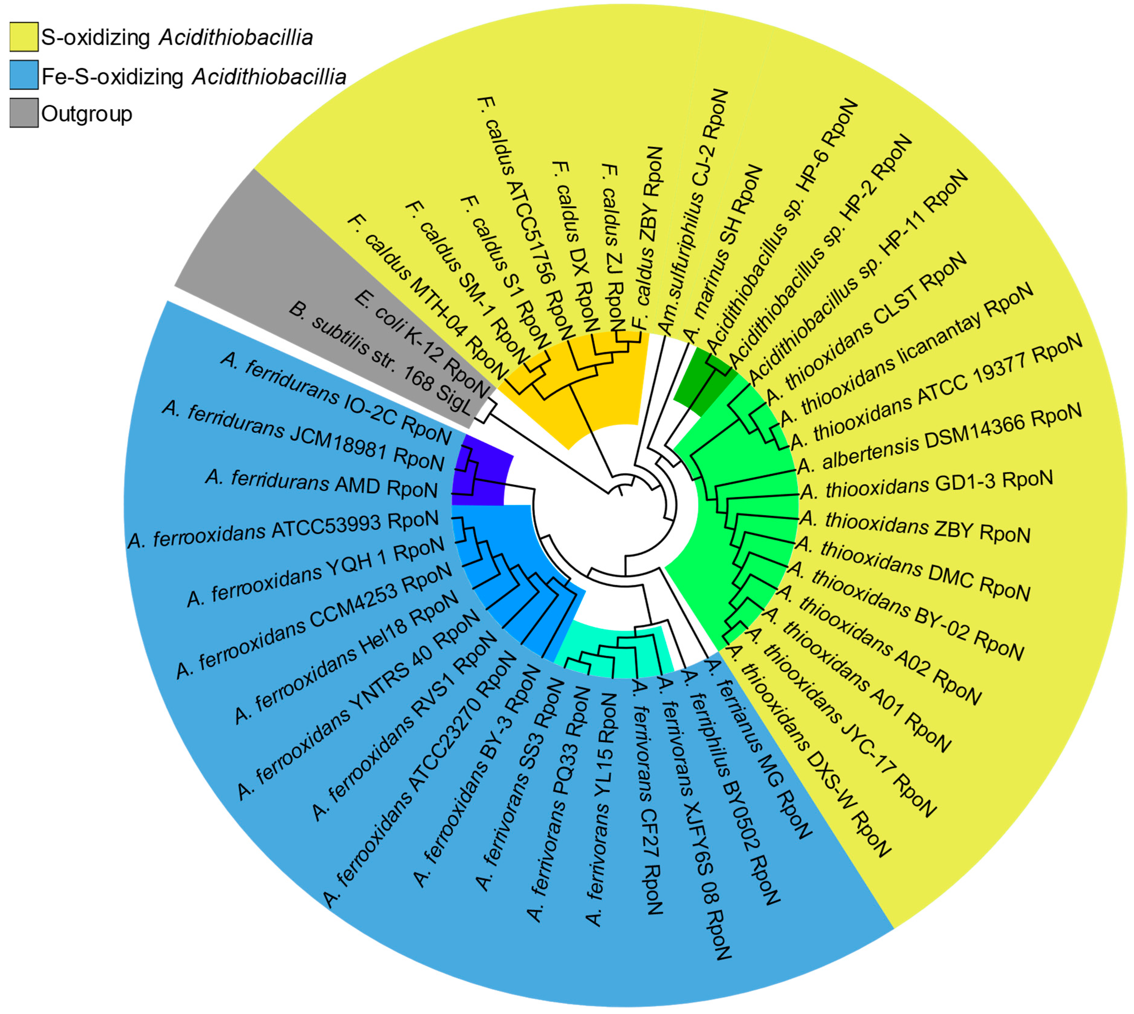 Microorganisms 13 01199 g003 Microorganisms 13 01199 g003