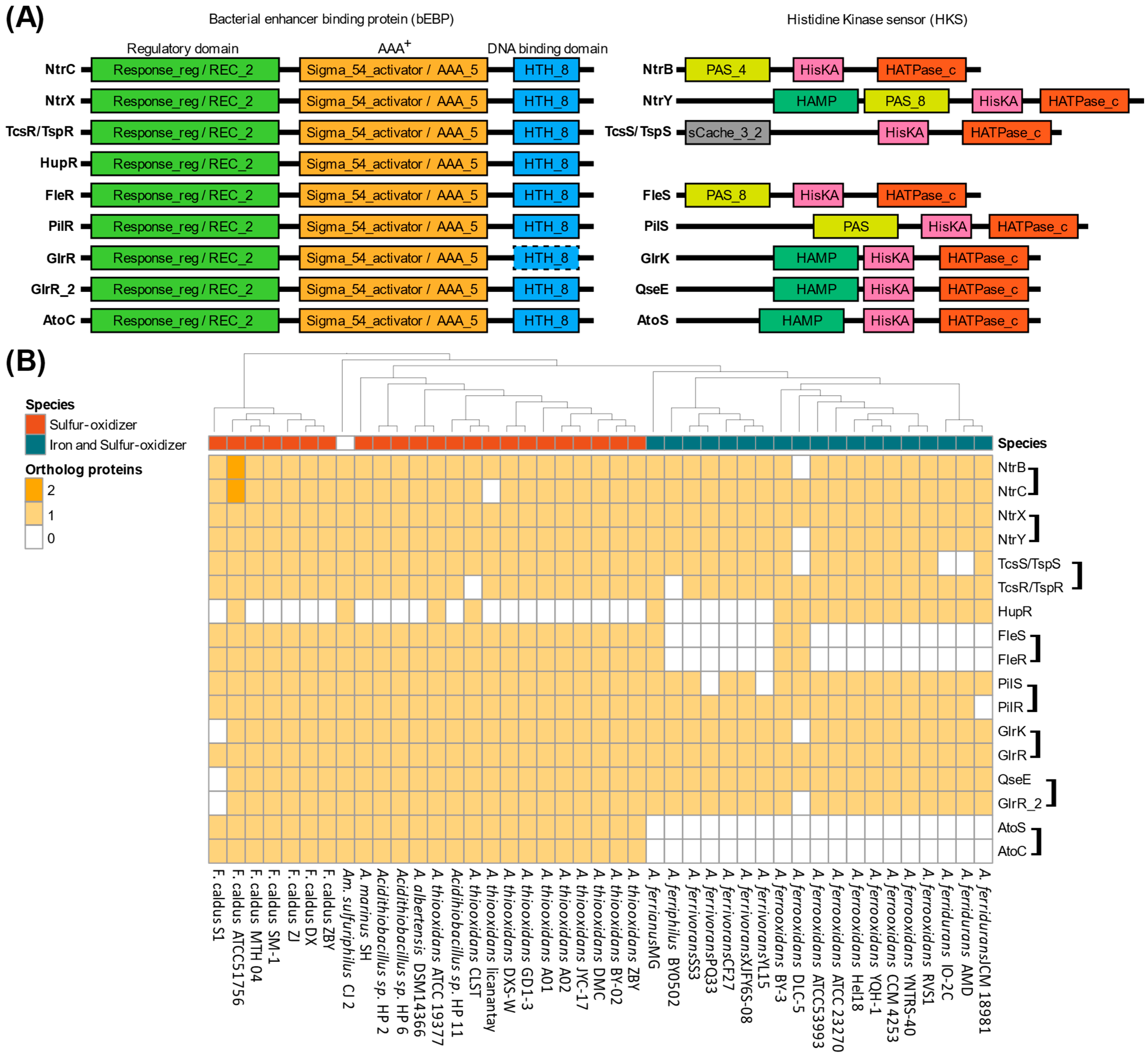 Microorganisms 13 01199 g004 Microorganisms 13 01199 g004