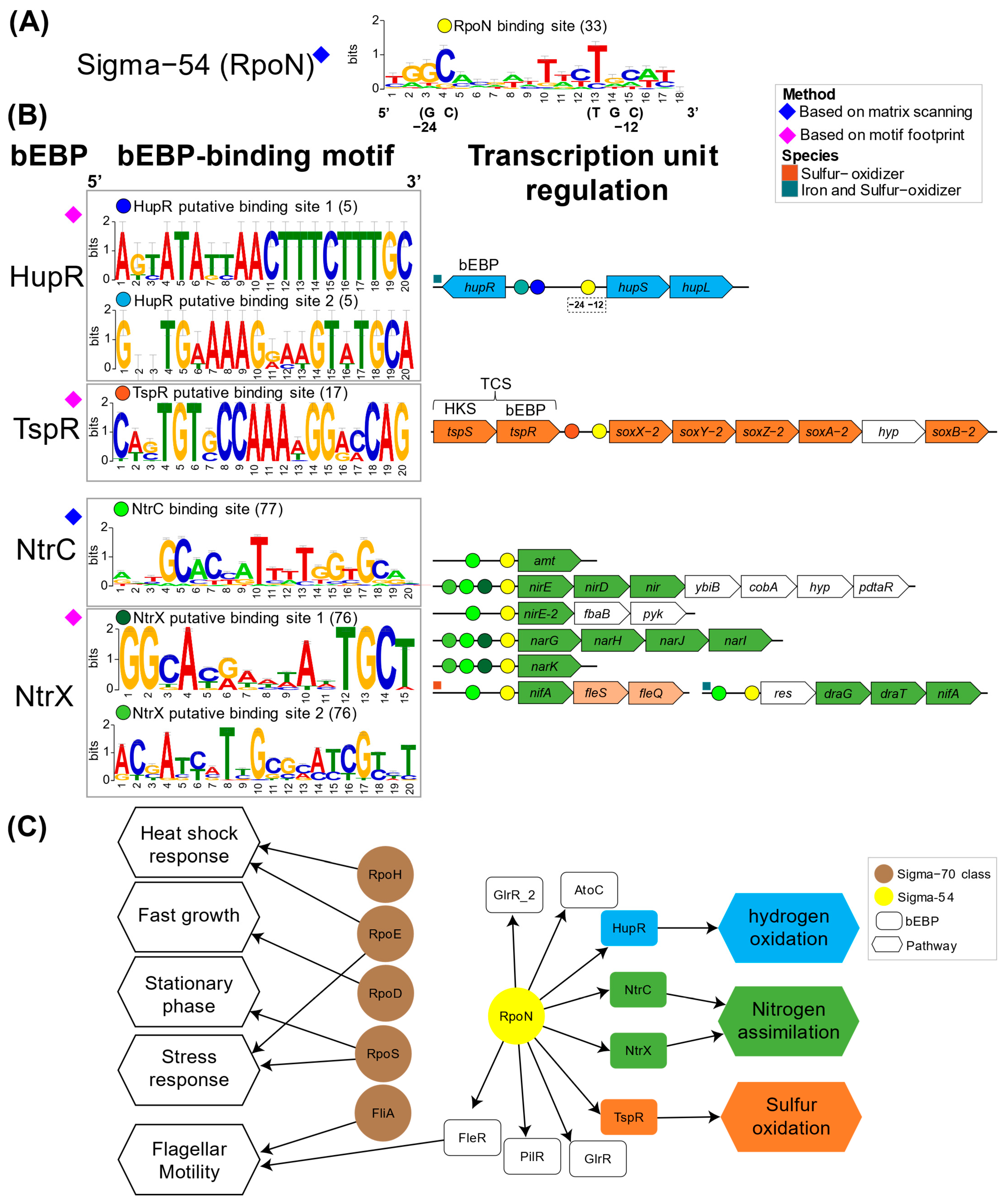 Microorganisms 13 01199 g005 Microorganisms 13 01199 g005