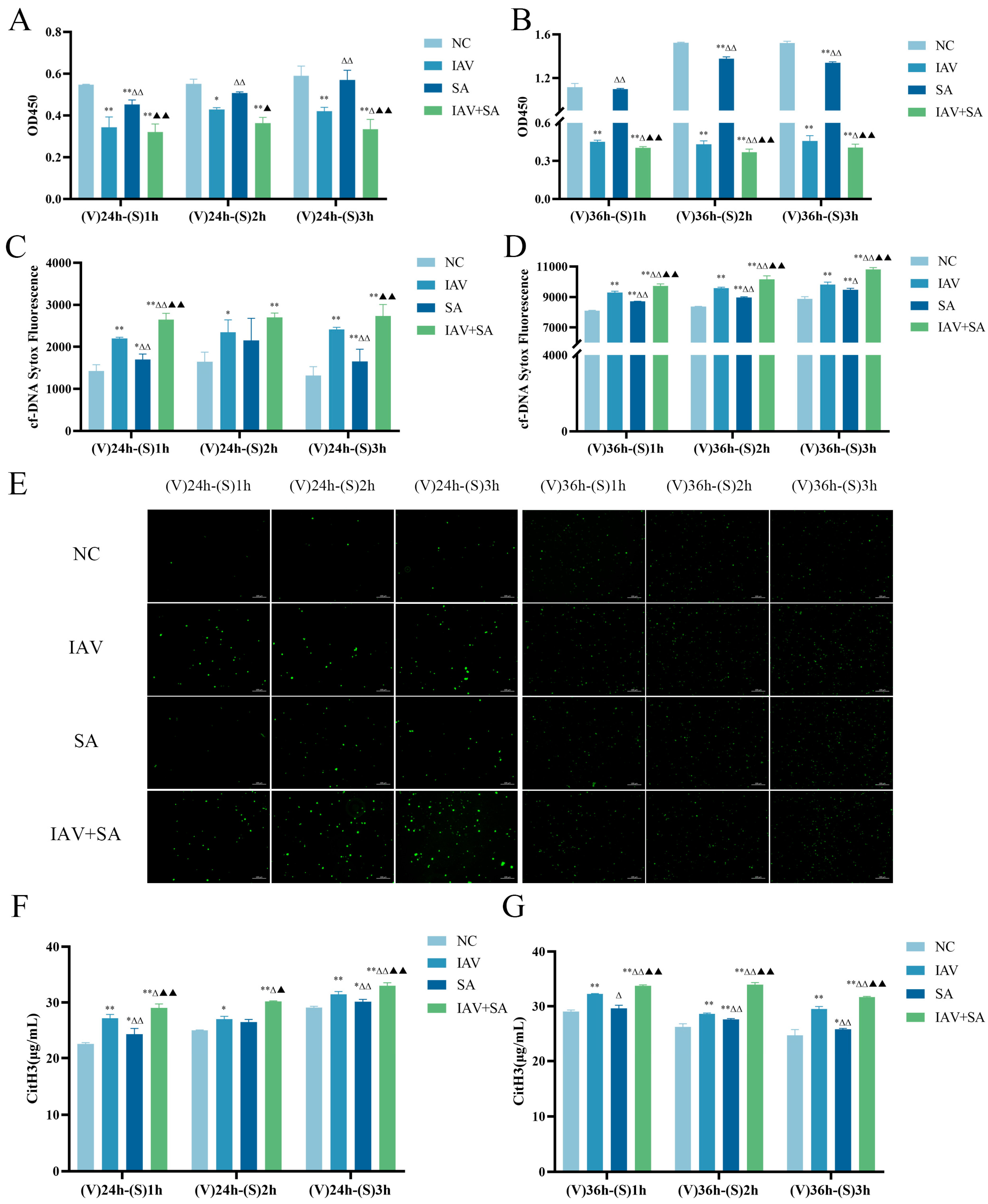 Microorganisms 13 01201 g002