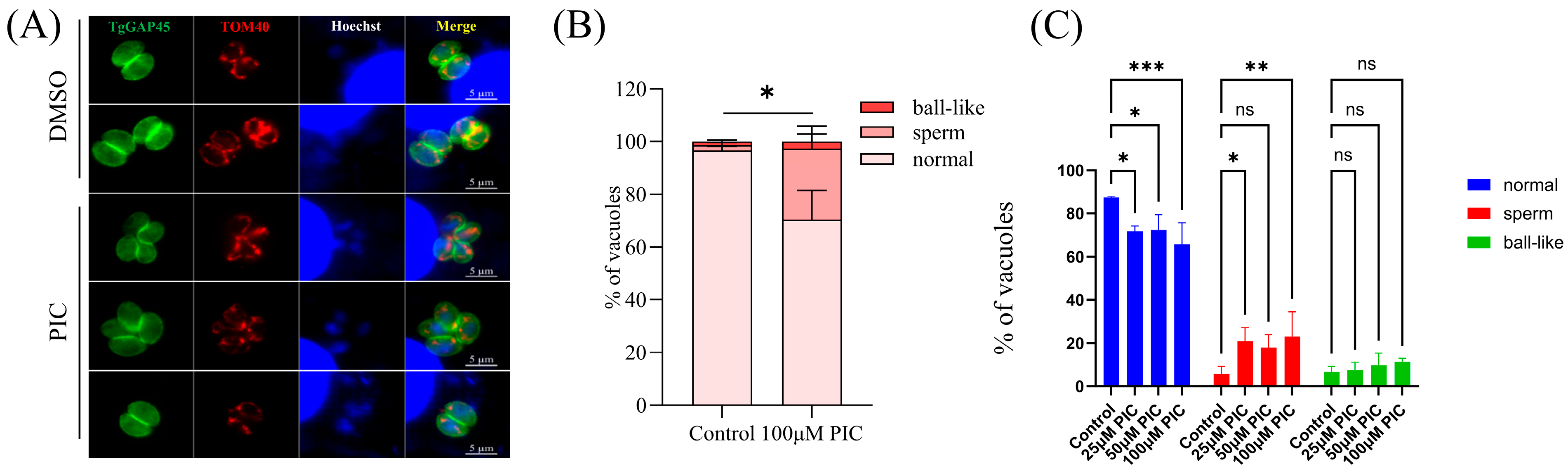 Microorganisms 13 01203 g002