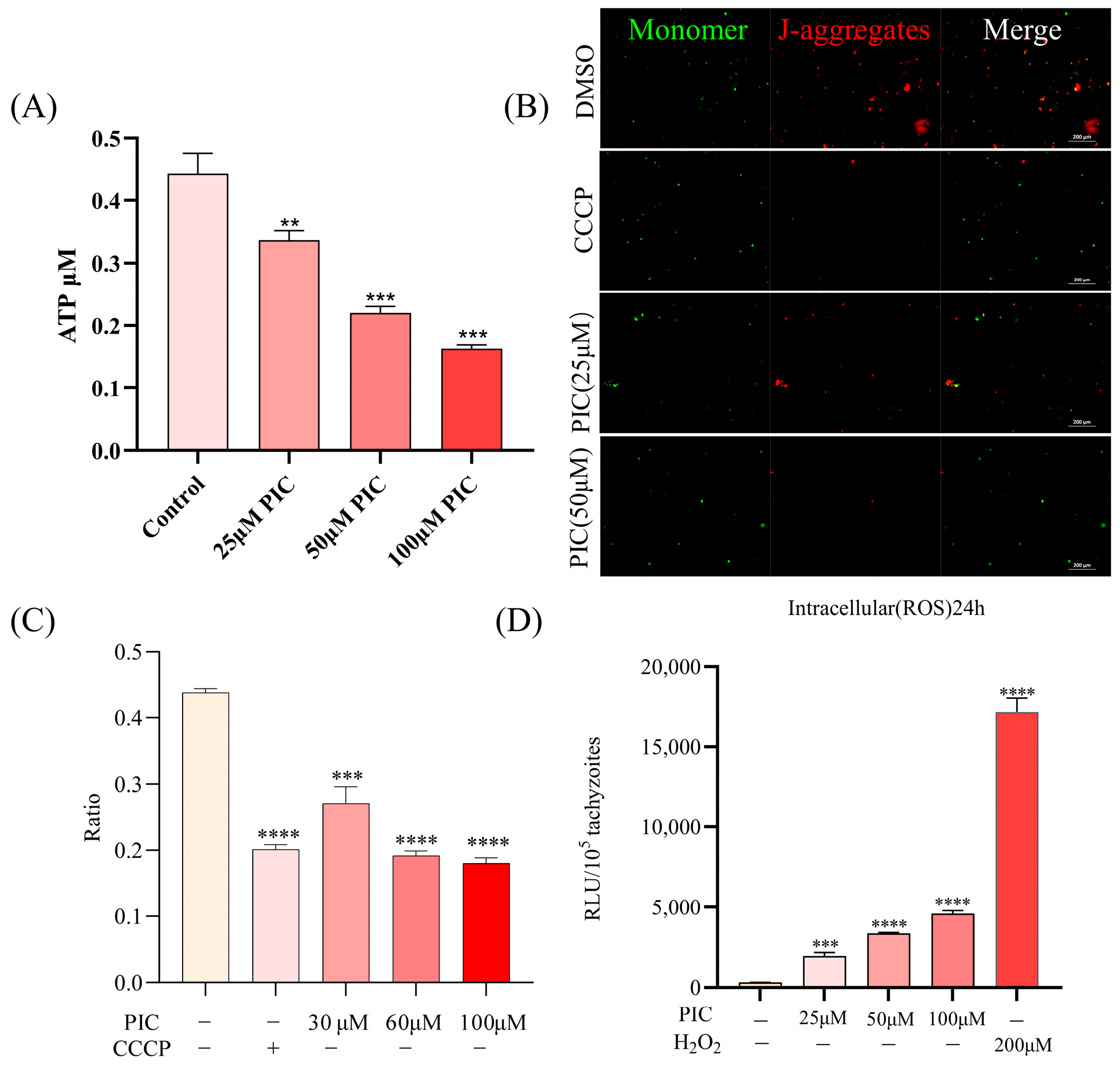 Microorganisms 13 01203 g004