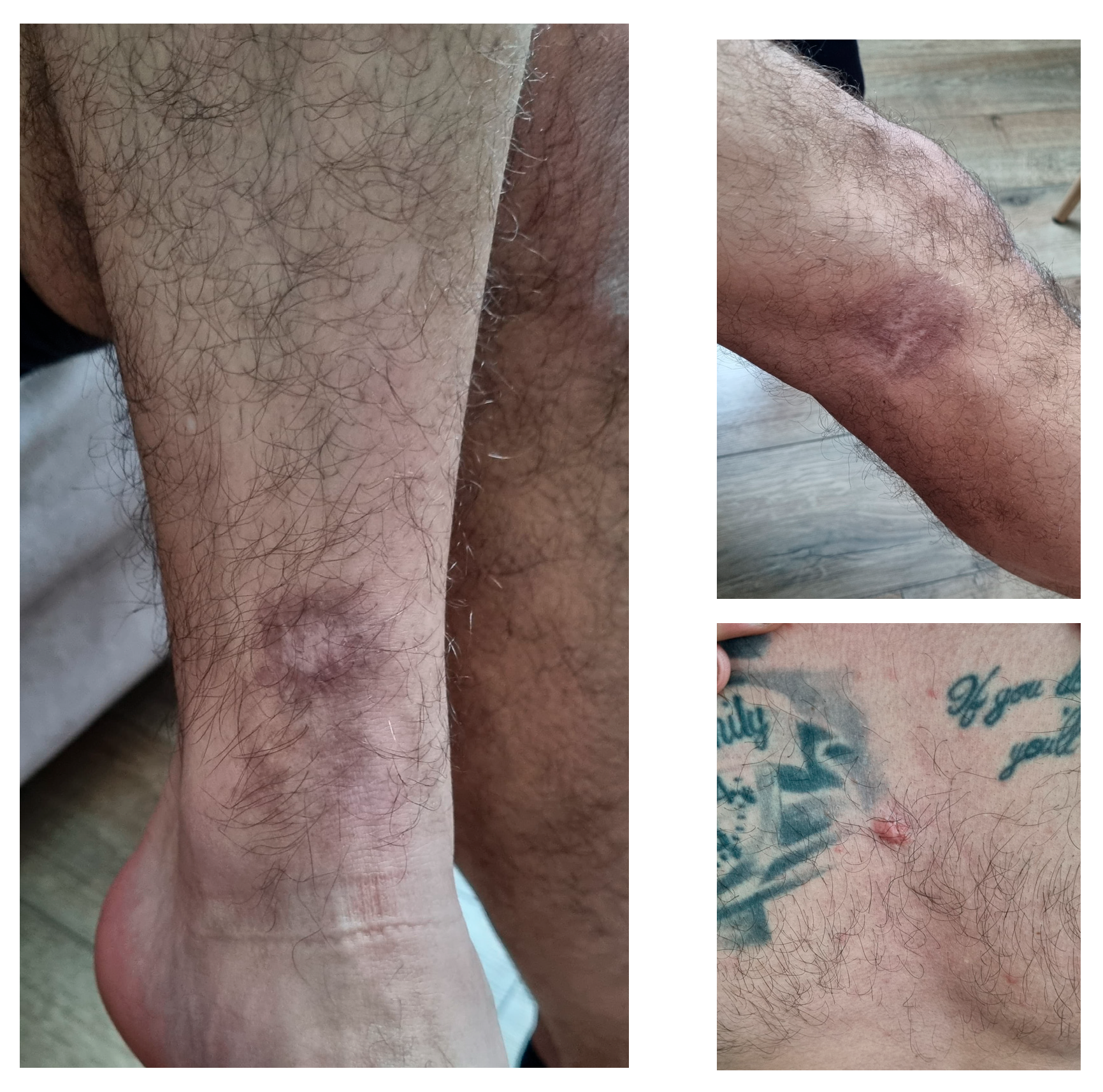 Microorganisms 13 01207 g003