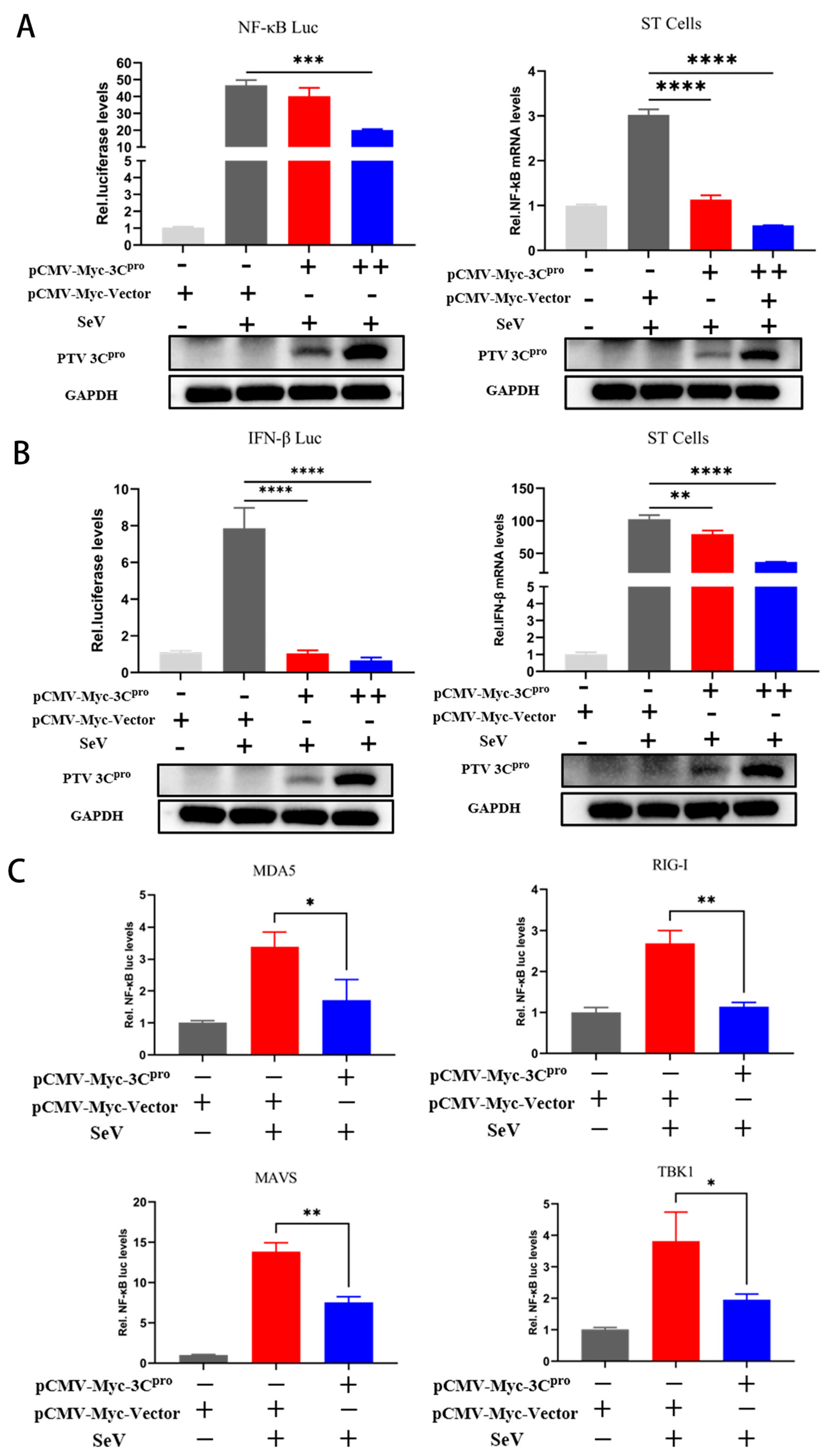 Microorganisms 13 01209 g002