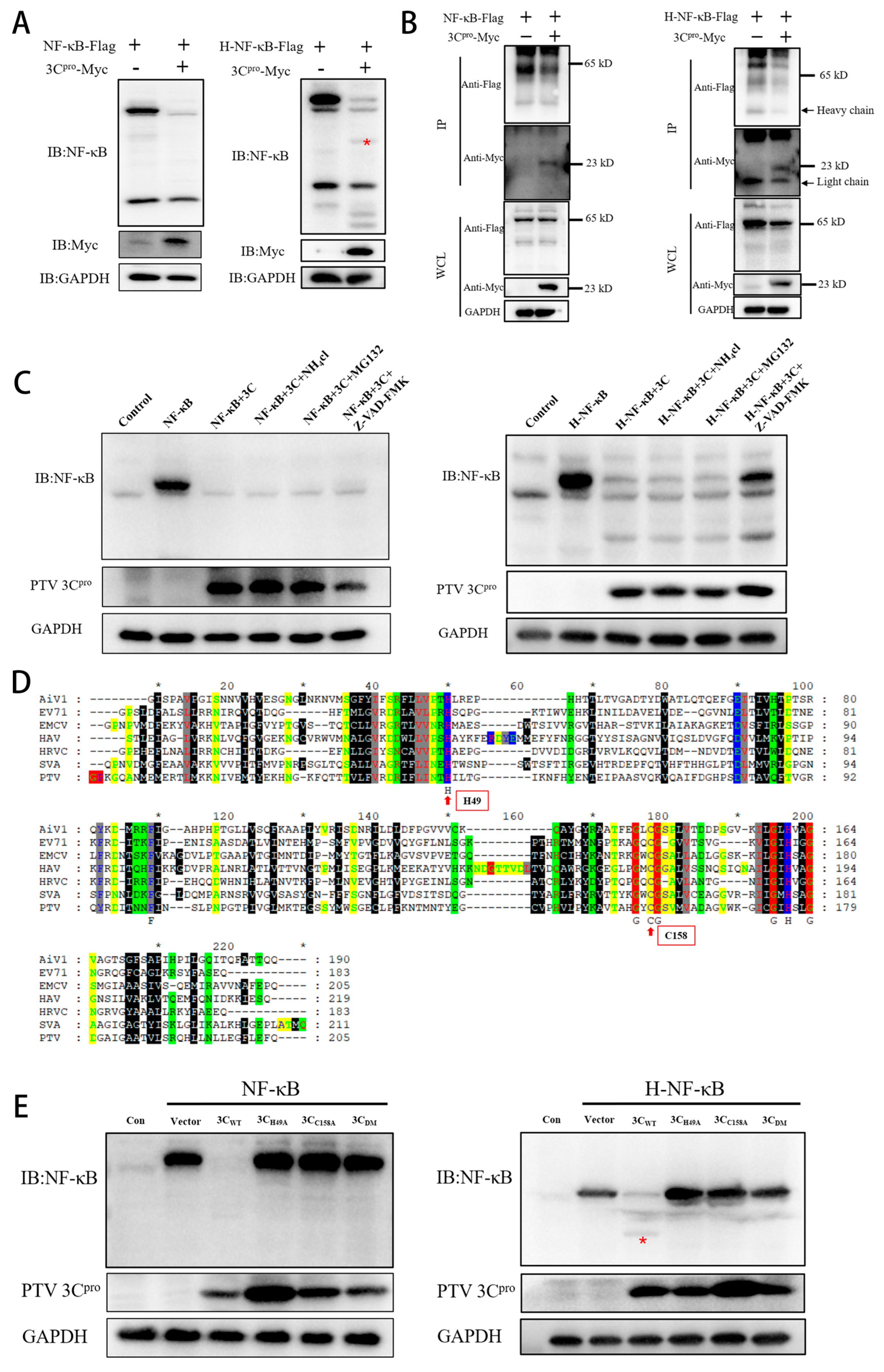 Microorganisms 13 01209 g004
