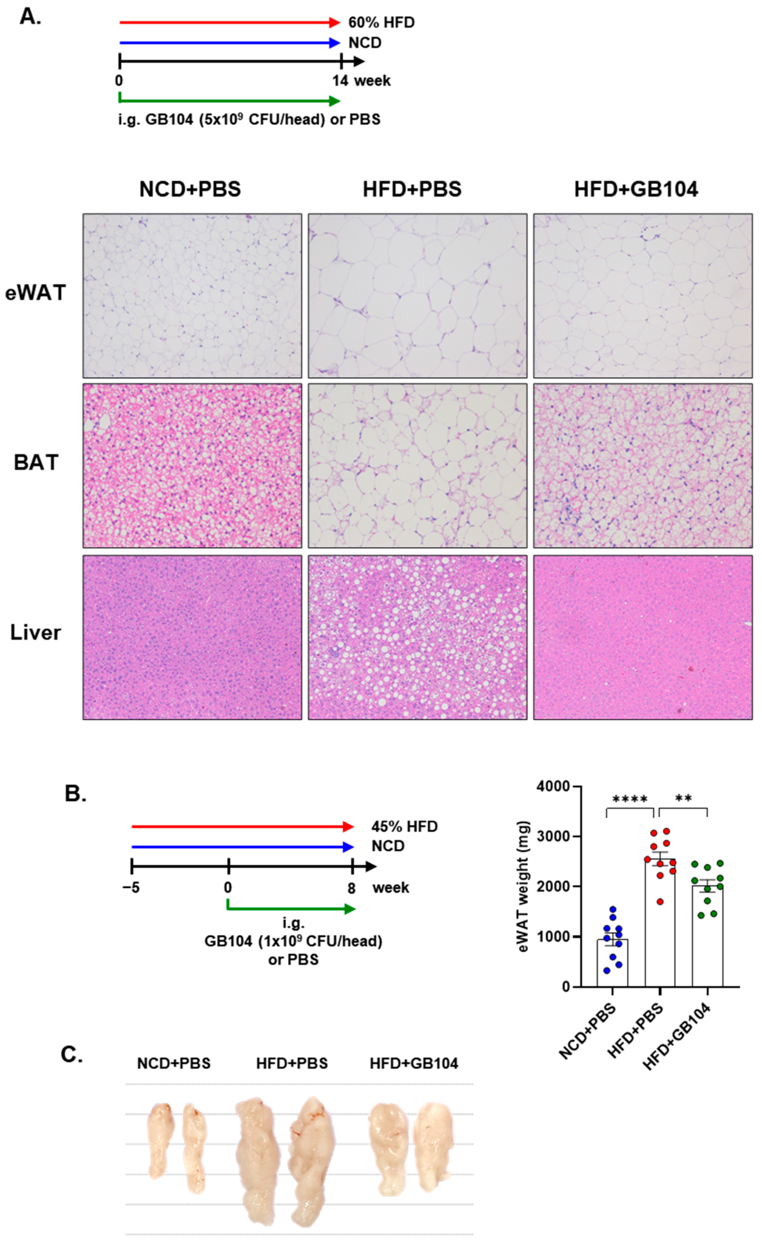 Microorganisms 13 01211 g005