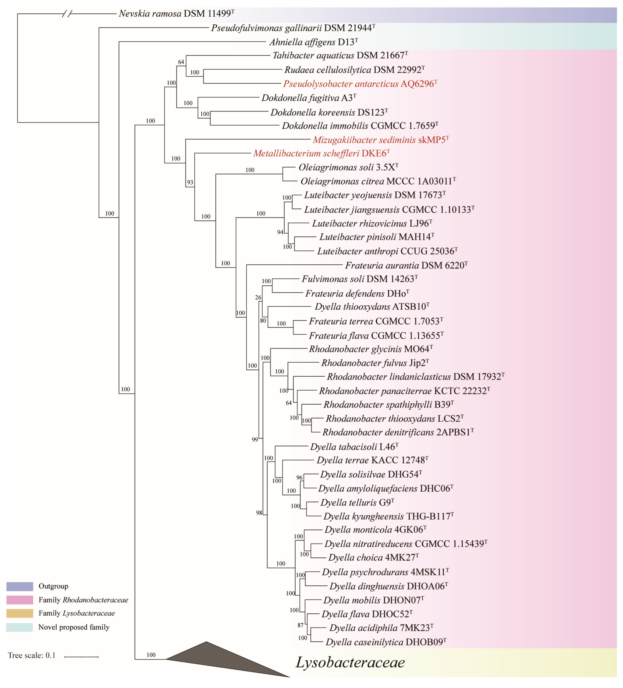 Microorganisms 13 01212 g001
