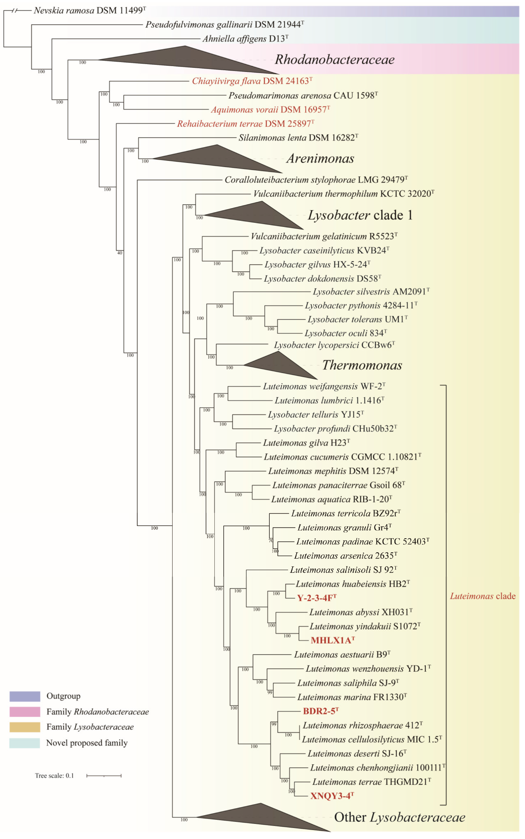 Microorganisms 13 01212 g002