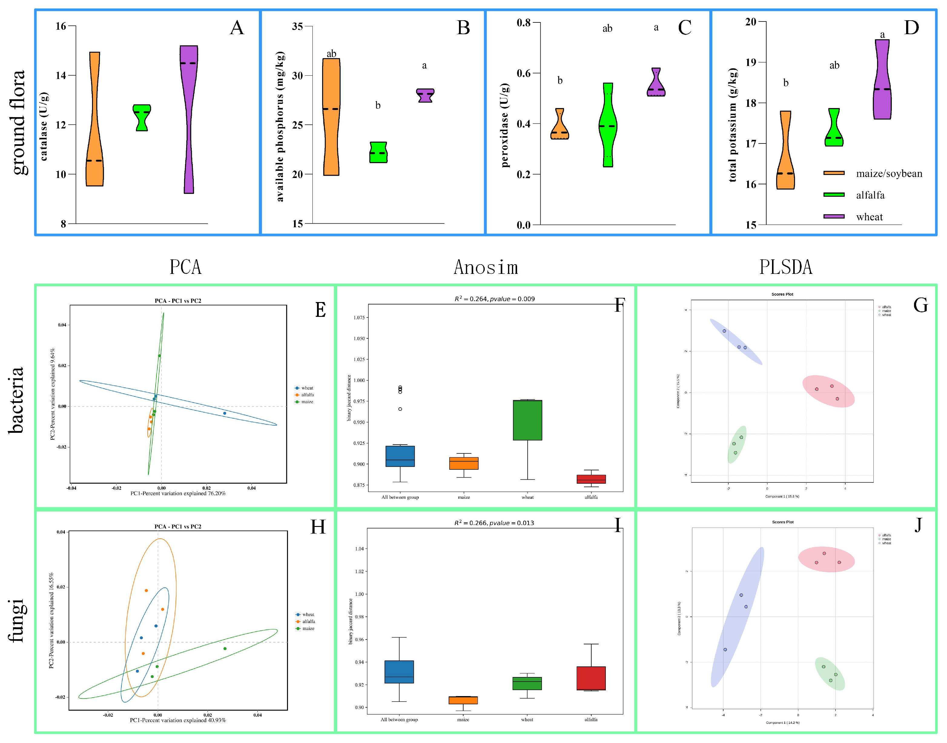 Microorganisms 13 01216 g003