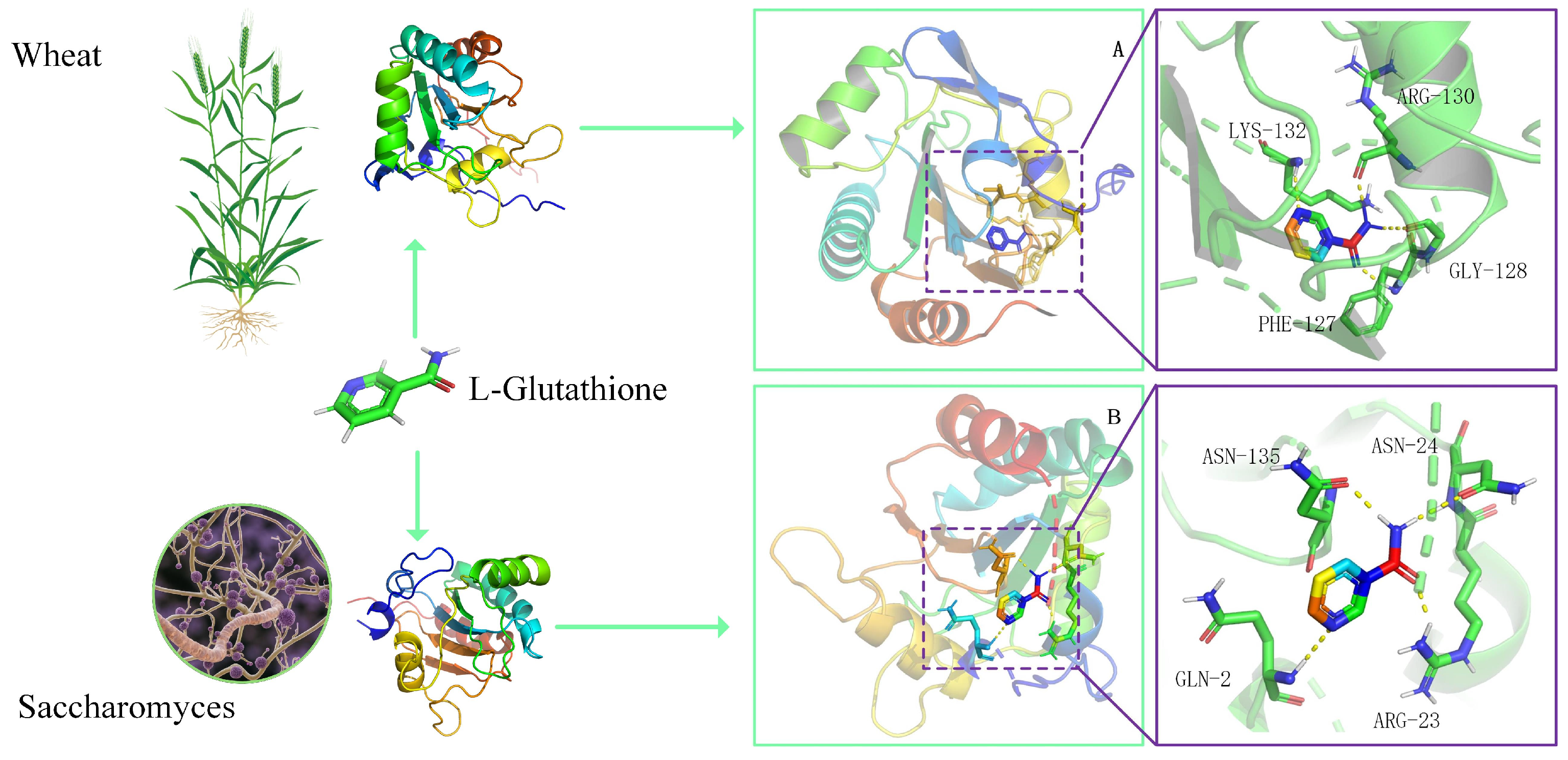 Microorganisms 13 01216 g006