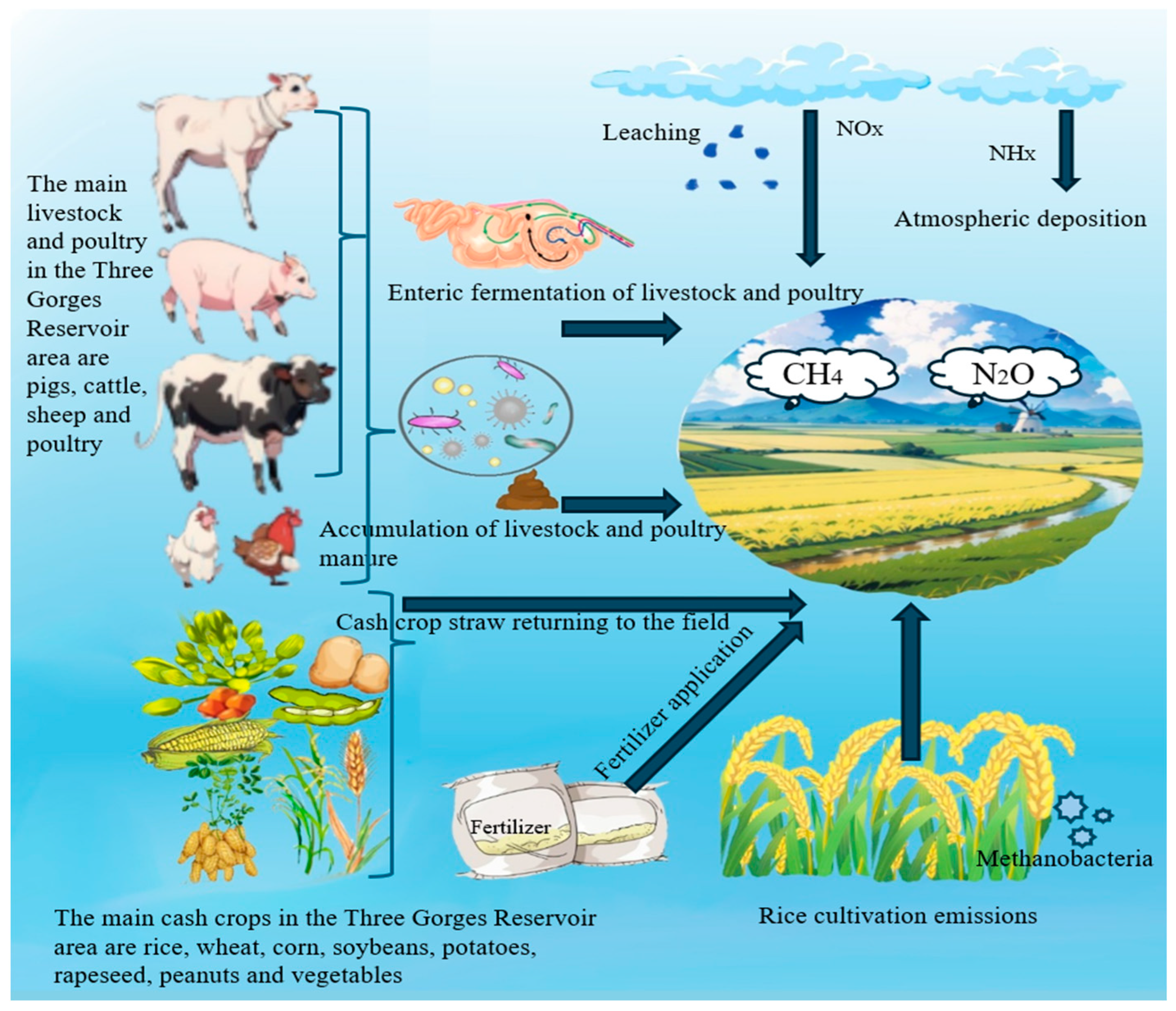 Microorganisms 13 01217 g002