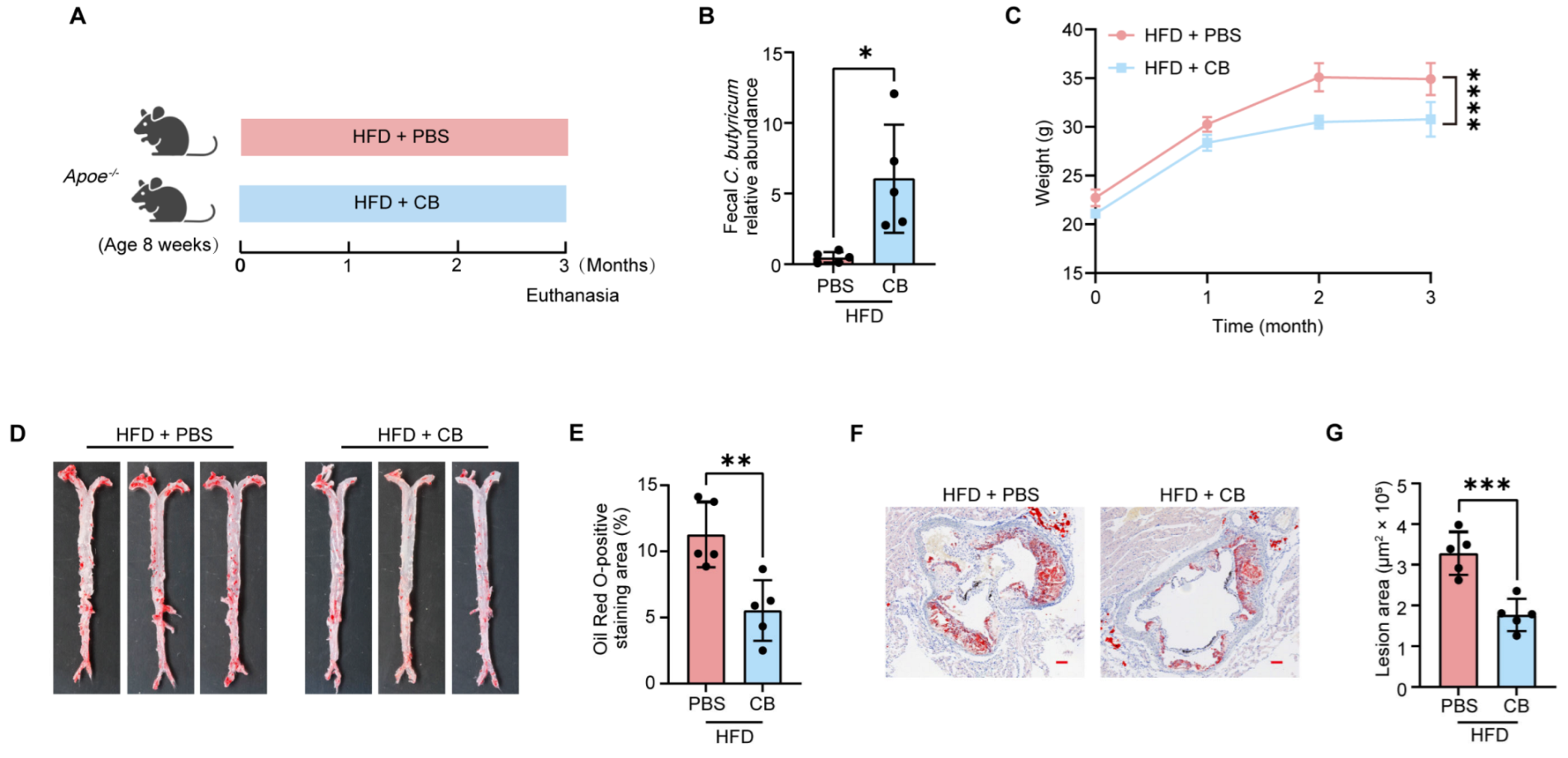 Microorganisms 13 01220 g001