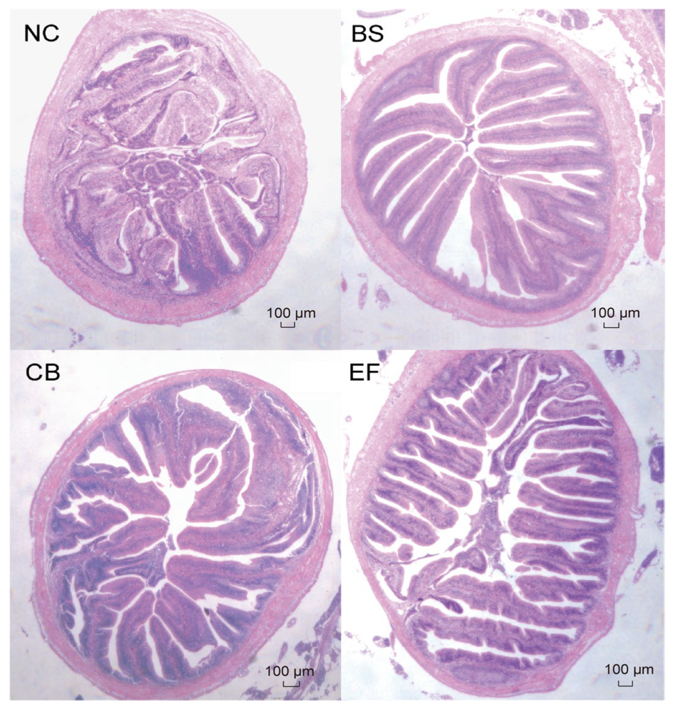 Microorganisms 13 01222 g004