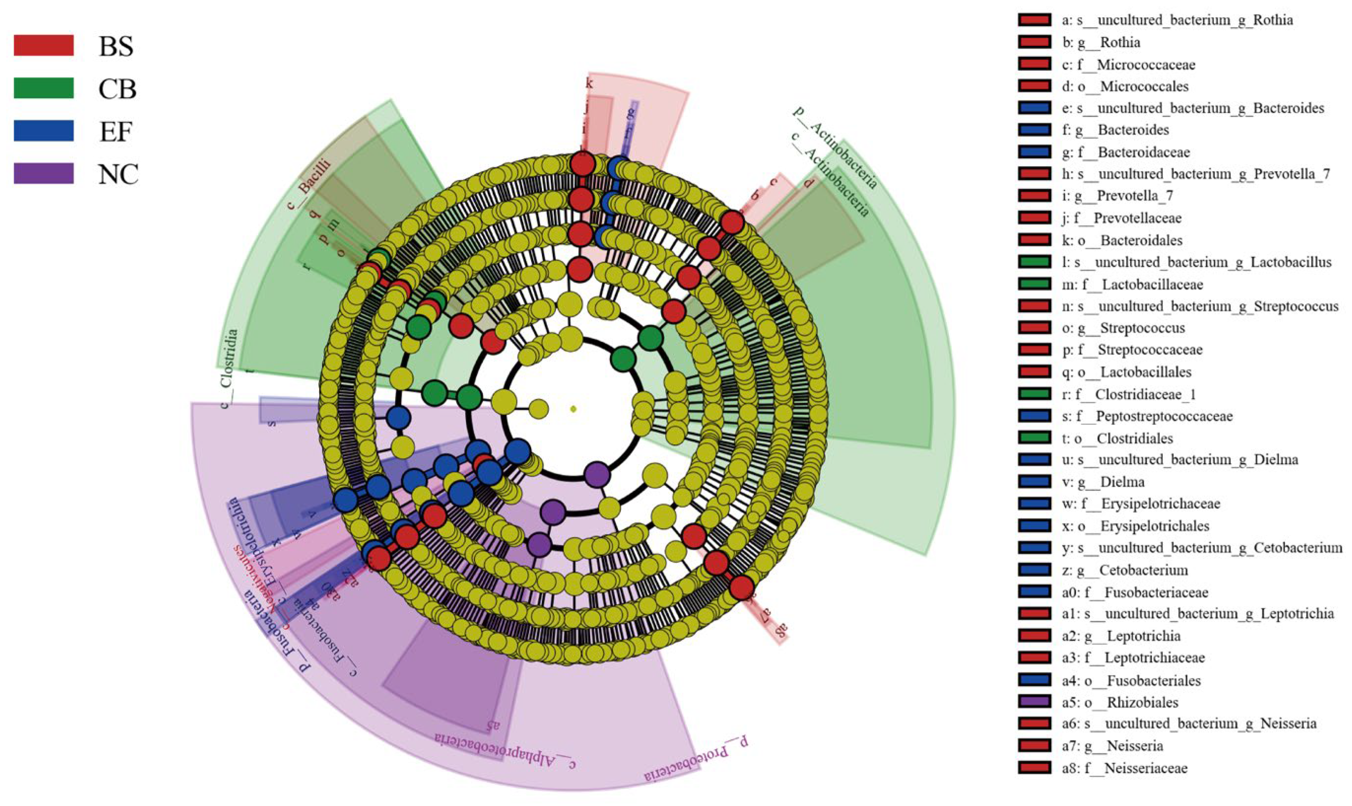 Microorganisms 13 01222 g008