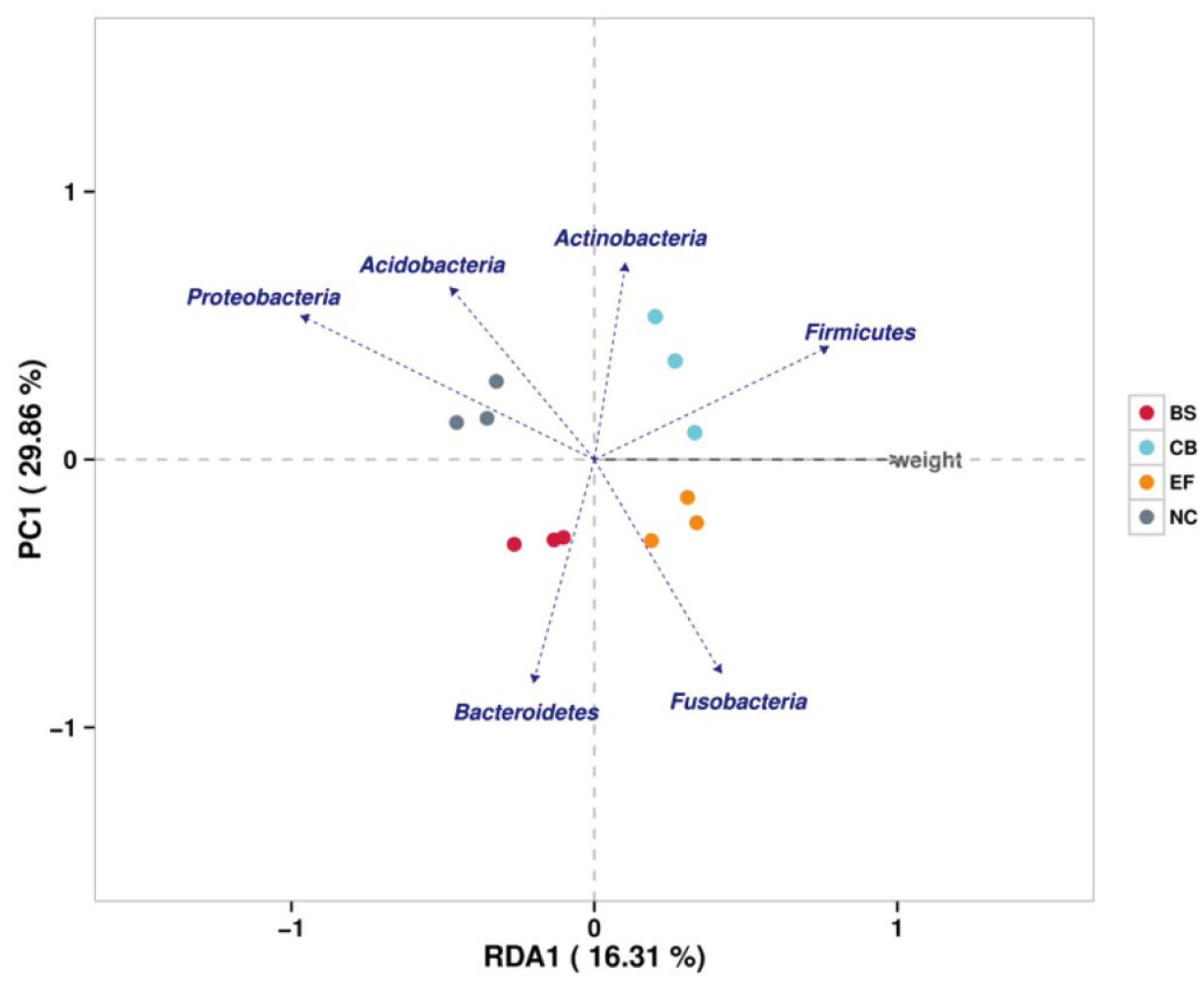 Microorganisms 13 01222 g009