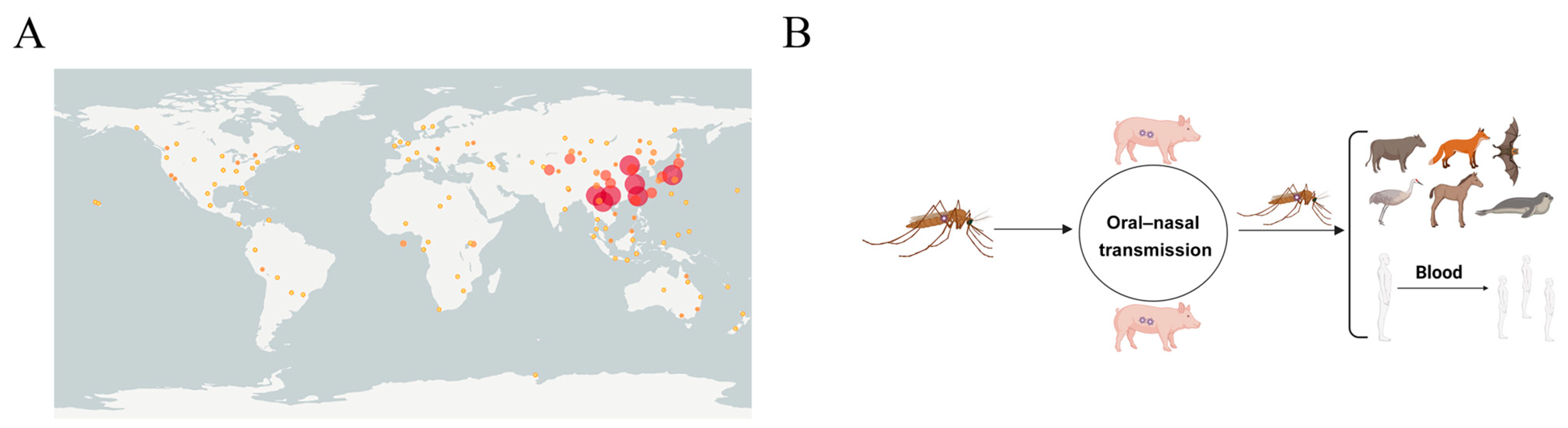 Microorganisms 13 01226 g003