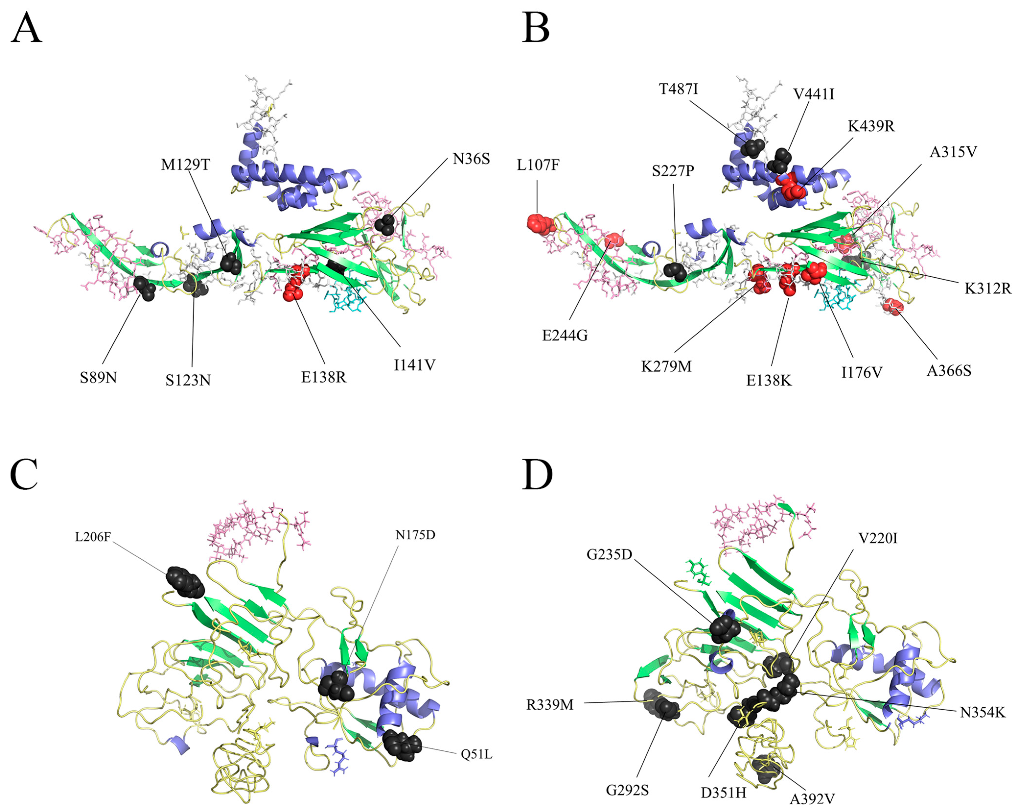 Microorganisms 13 01226 g004