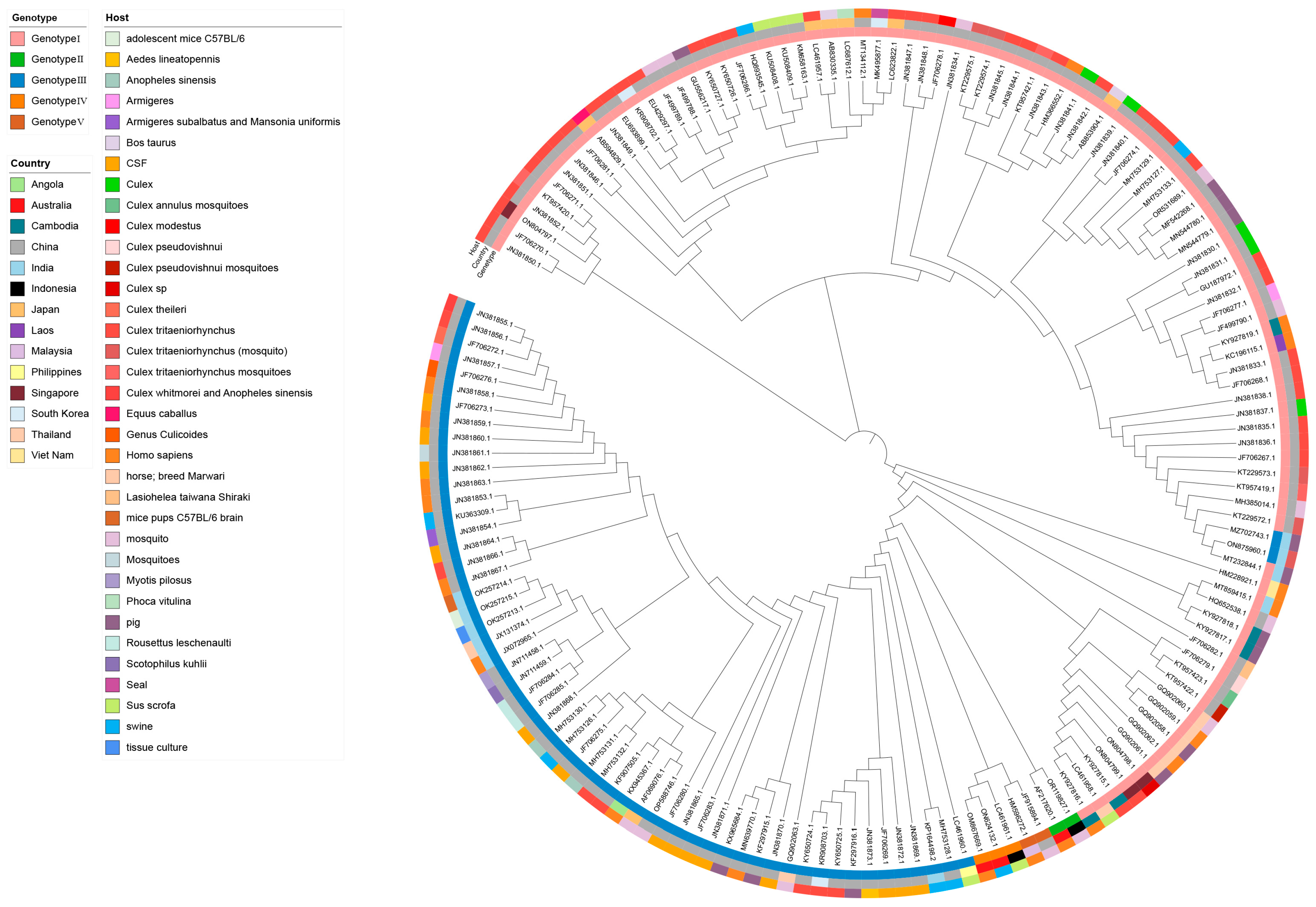 Microorganisms 13 01226 g006
