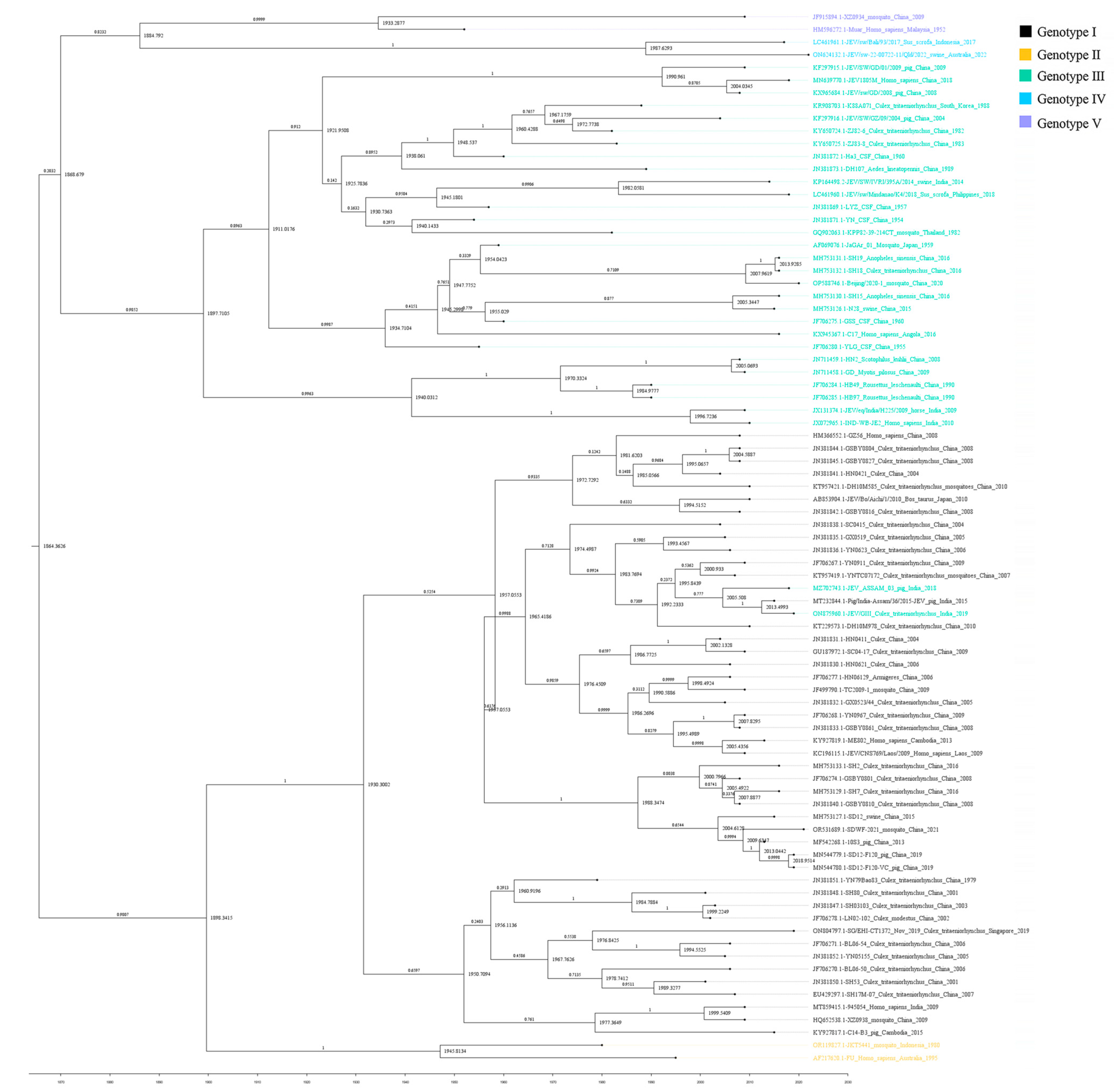 Microorganisms 13 01226 g008