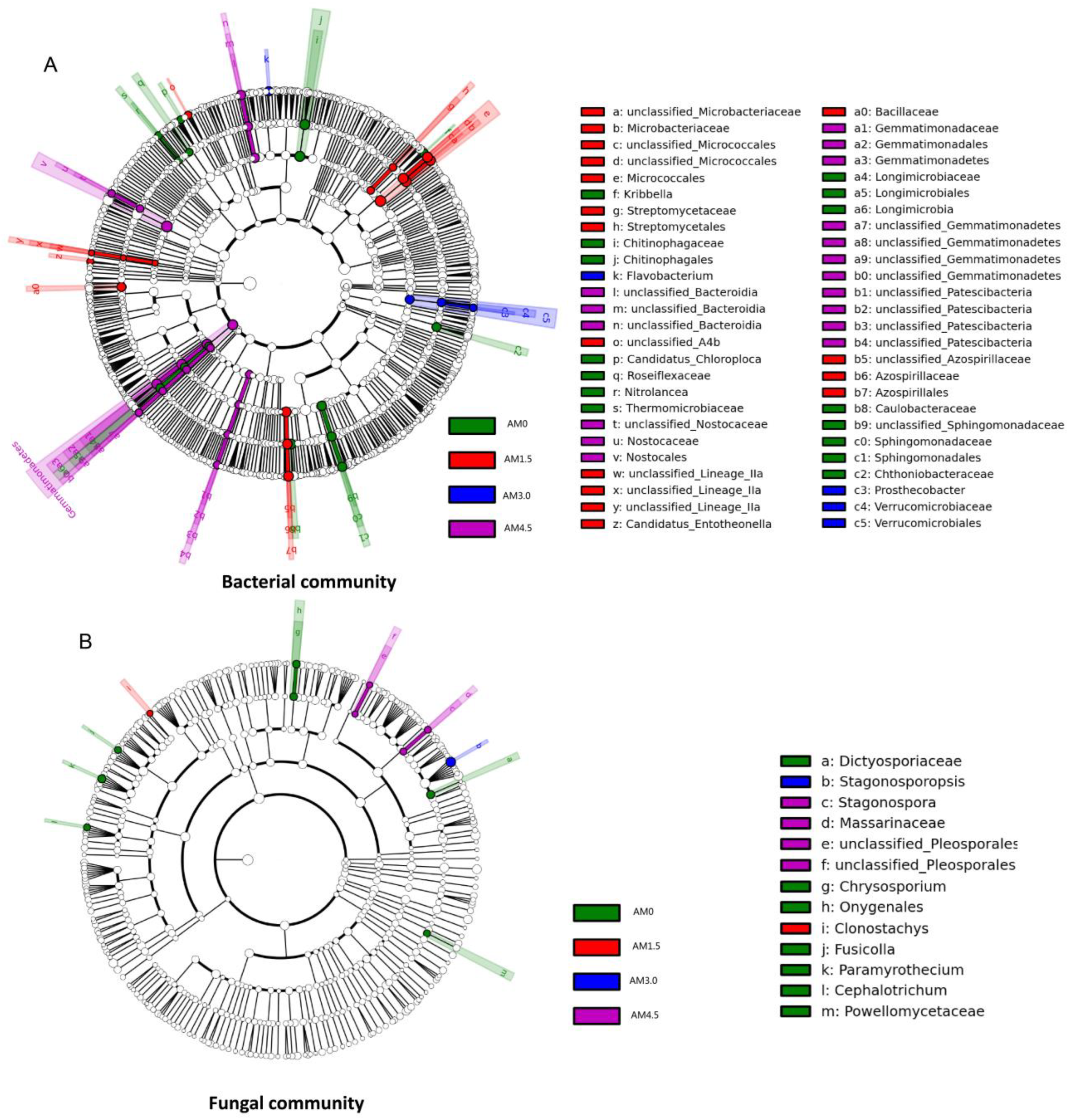 Microorganisms 13 01228 g004