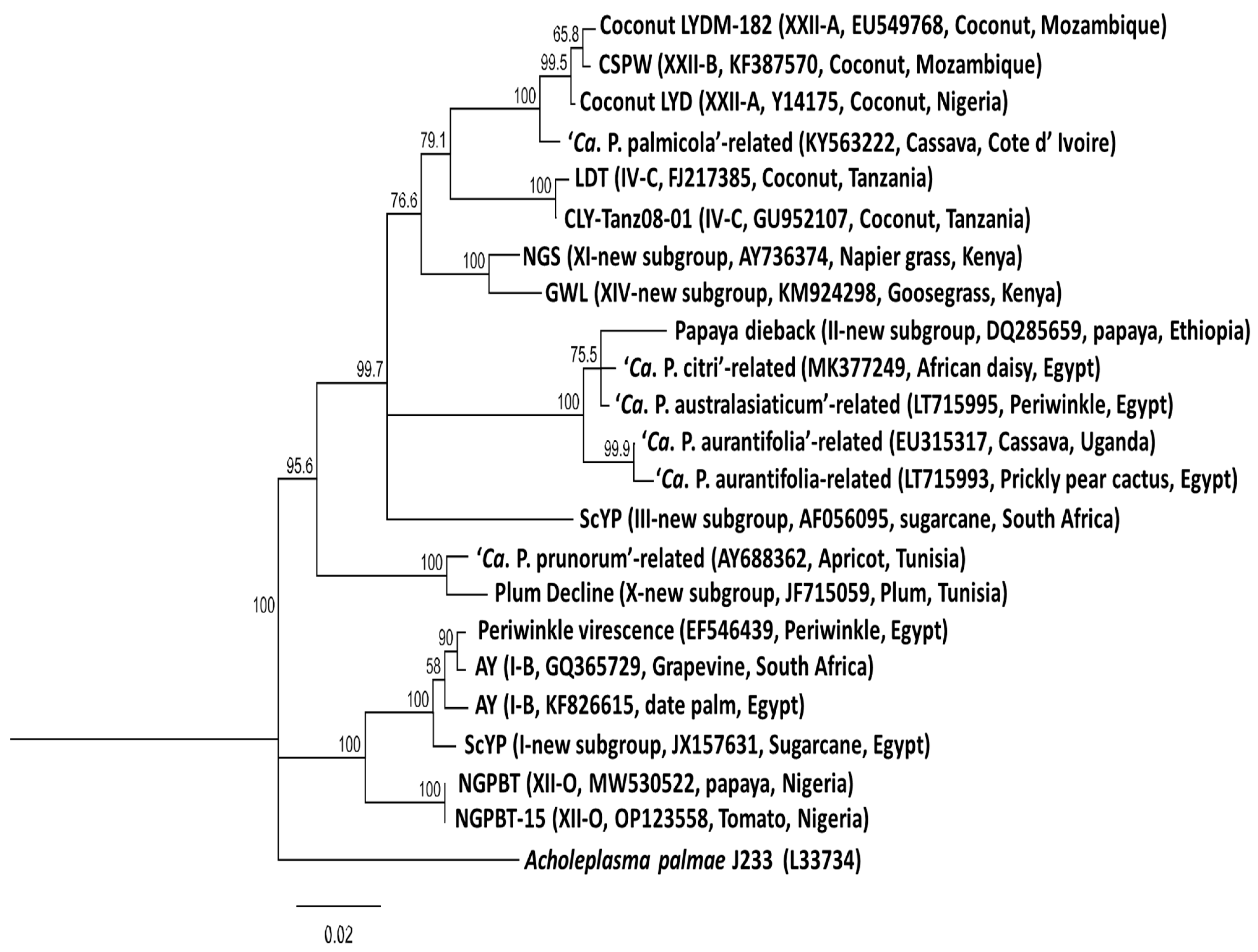 Microorganisms 13 01229 g002